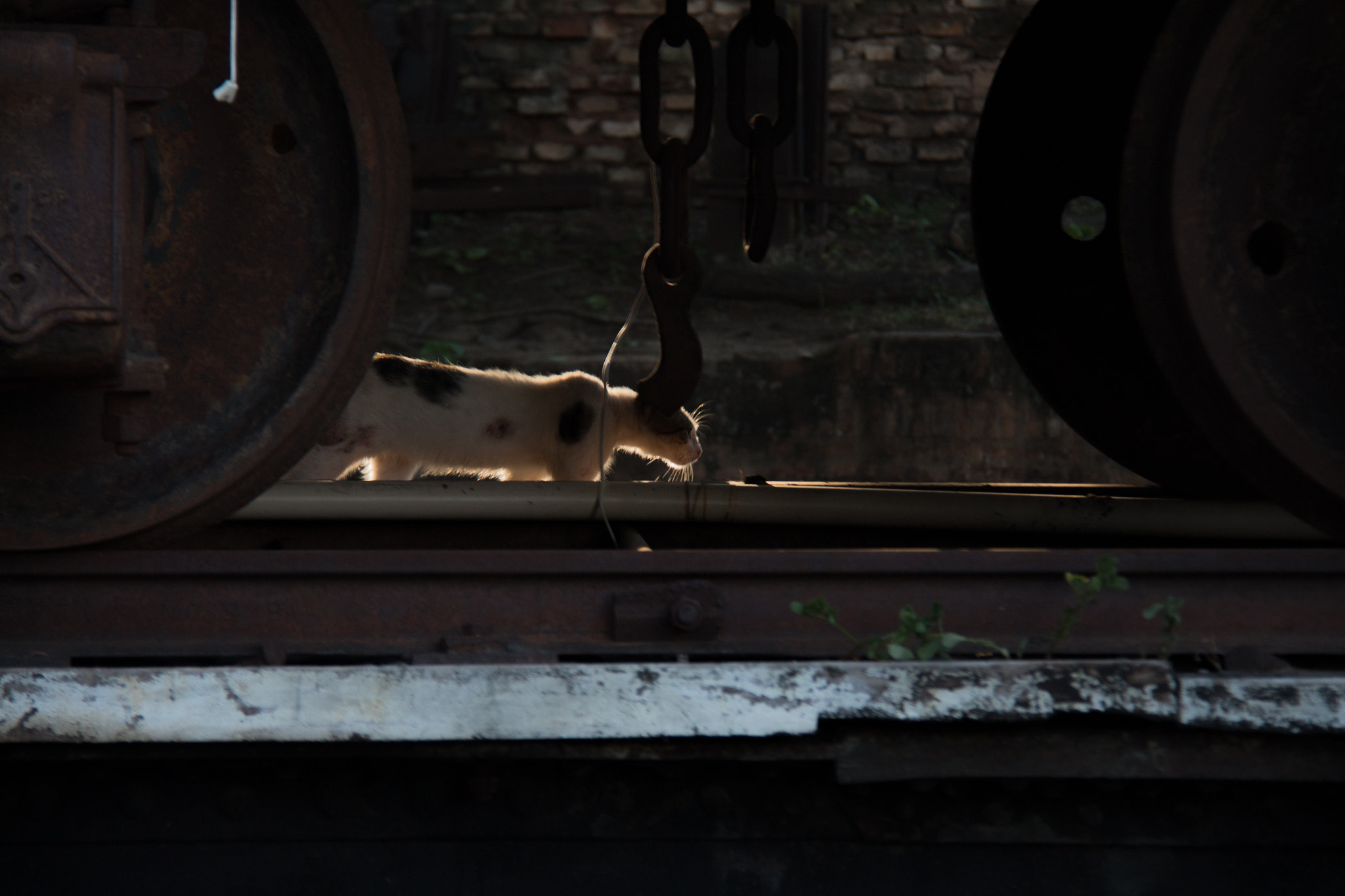 Canon EOS 650D (EOS Rebel T4i / EOS Kiss X6i) sample photo. Another town, another train photography