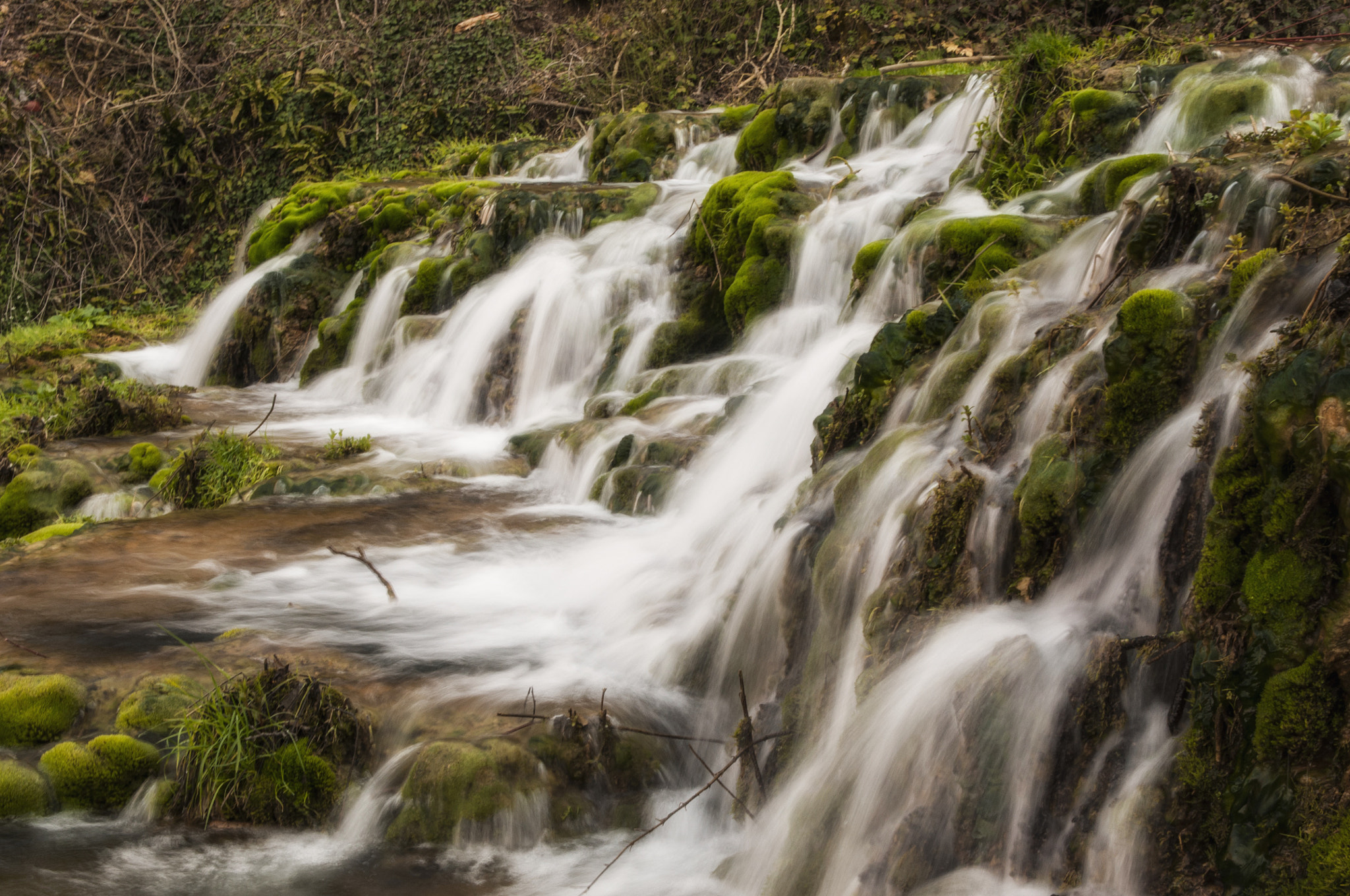 Nikon AF-S Nikkor 24-70mm F2.8G ED sample photo. _ photography