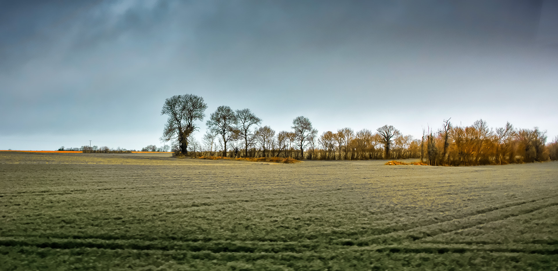 AF Nikkor 24mm f/2.8 sample photo. Plain oh my plain photography