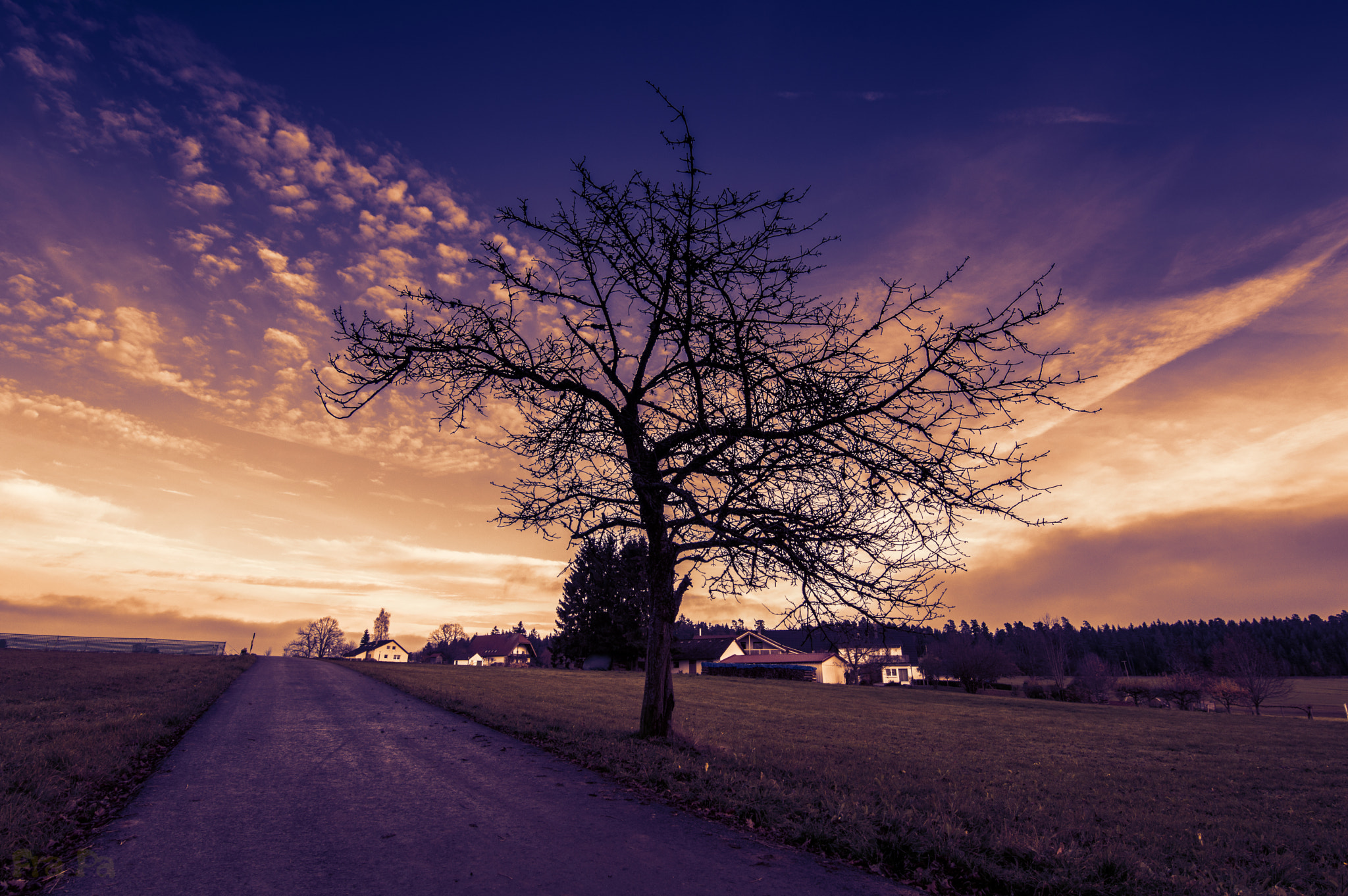 Nikon D3200 sample photo. Walk photography