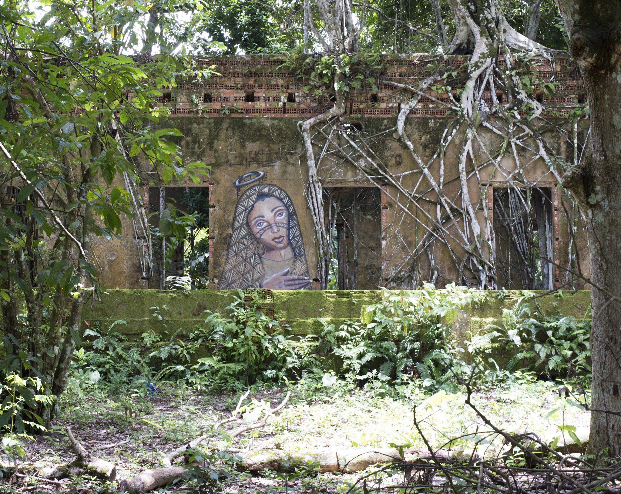 Nikon Df sample photo. Brazilian angkor wat photography