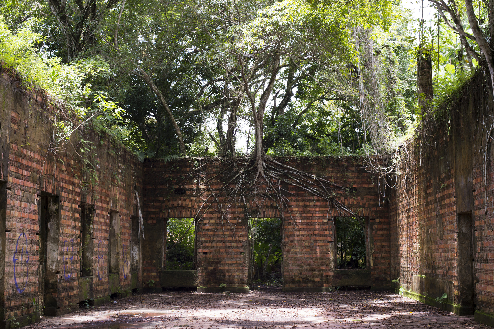 Nikon Df sample photo. Brazilian angkor wat photography