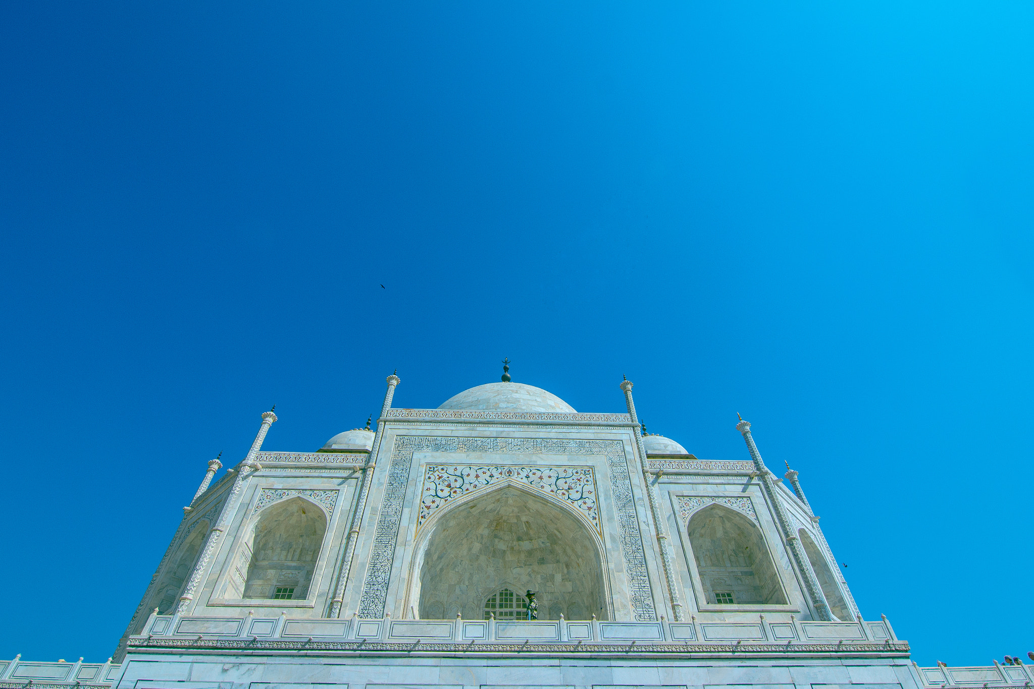 Canon EOS 550D (EOS Rebel T2i / EOS Kiss X4) sample photo. Taj photography