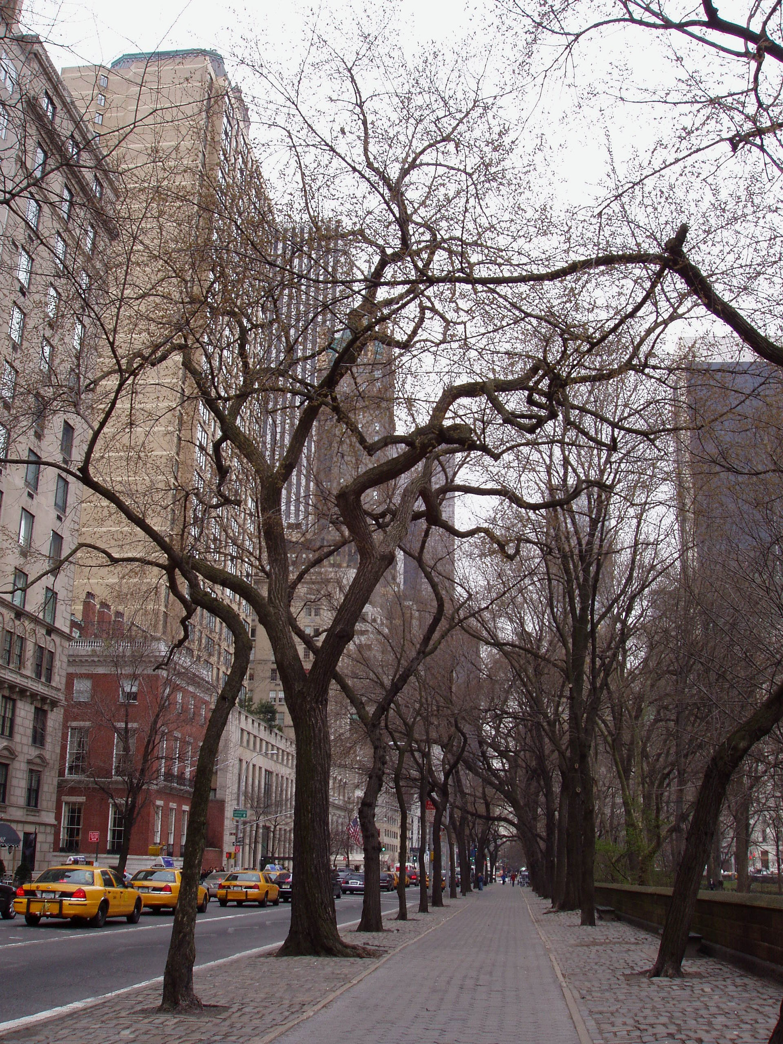 Olympus X-2,C-50Z sample photo. Ny photography