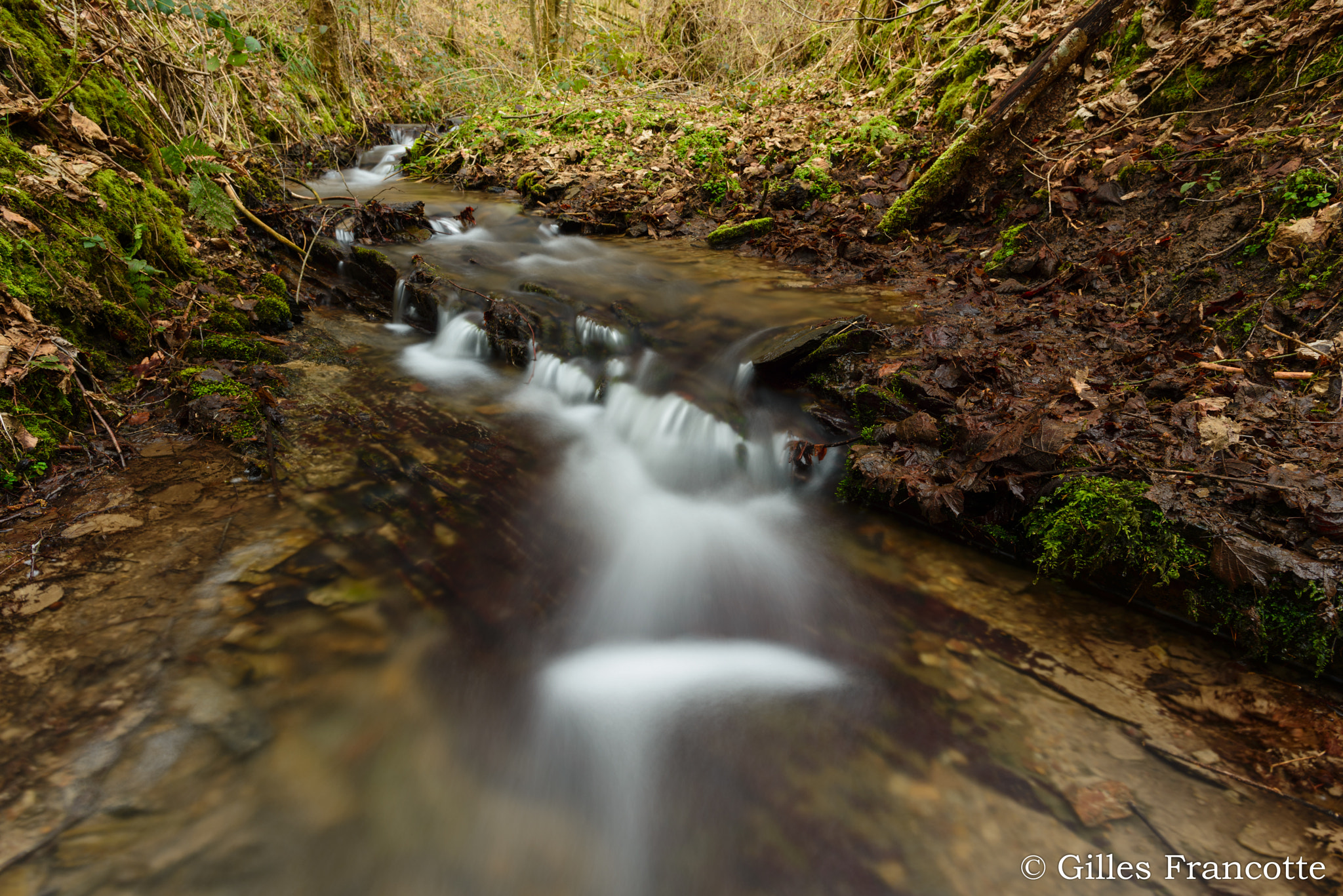 Nikon D800 + Nikon AF-S Nikkor 20mm F1.8G ED sample photo. Little creek photography