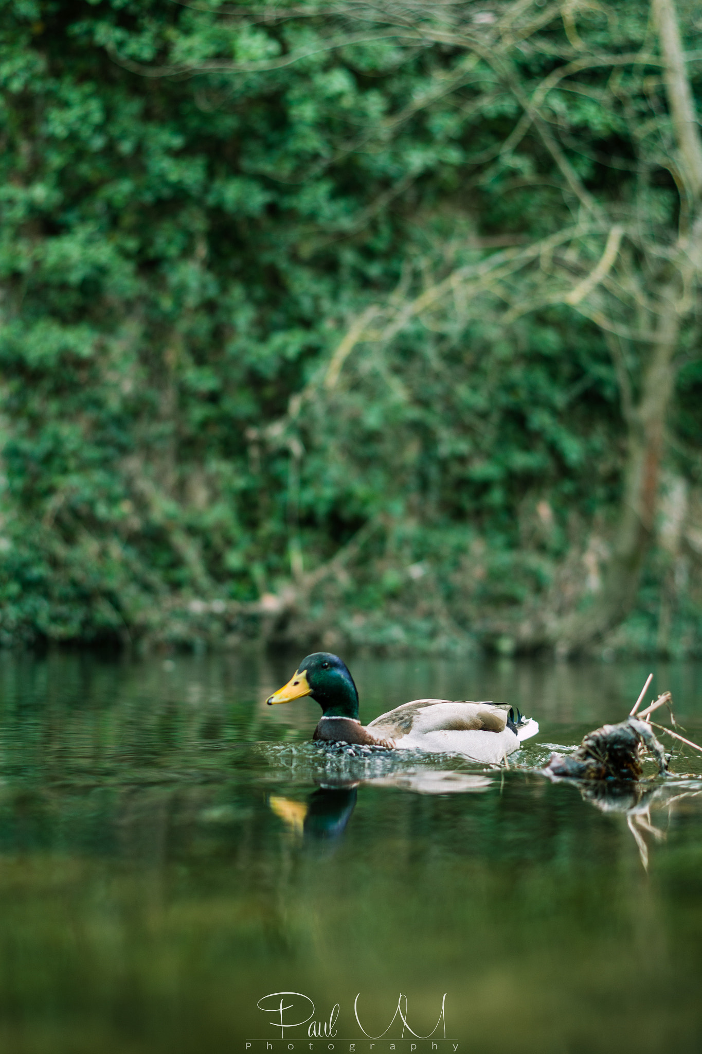 Pentax K-S2 + Pentax smc DA 50mm F1.8 sample photo. Paseo por segovia photography