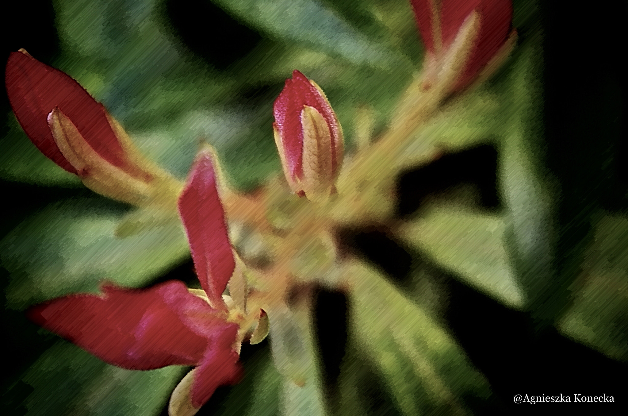 Pentax K-50 sample photo. Lady's photography