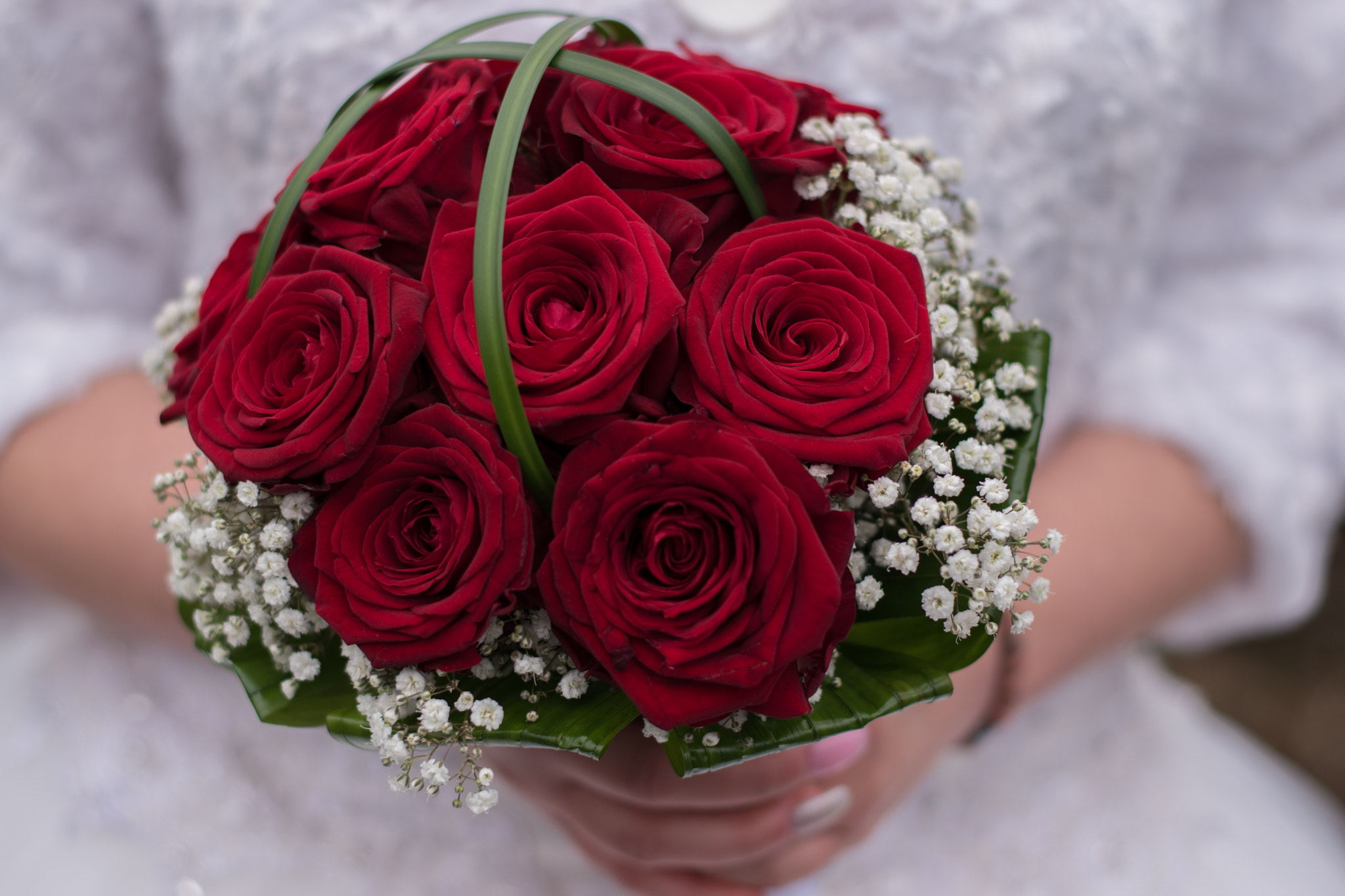 Nikon D5500 + Nikon AF-S Nikkor 50mm F1.8G sample photo. Dsc photography