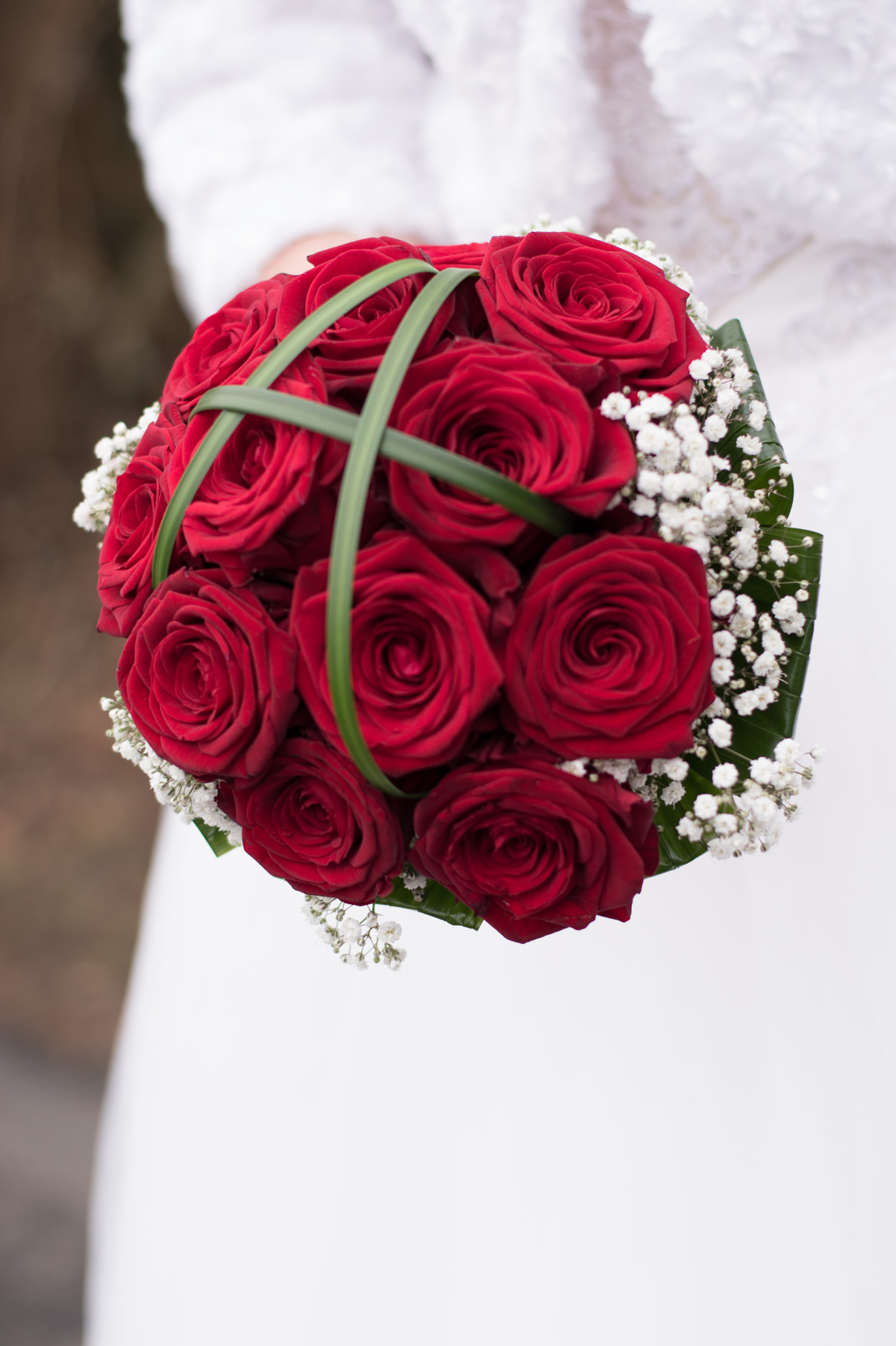 Nikon D5500 + Nikon AF-S Nikkor 50mm F1.8G sample photo. Dsc photography