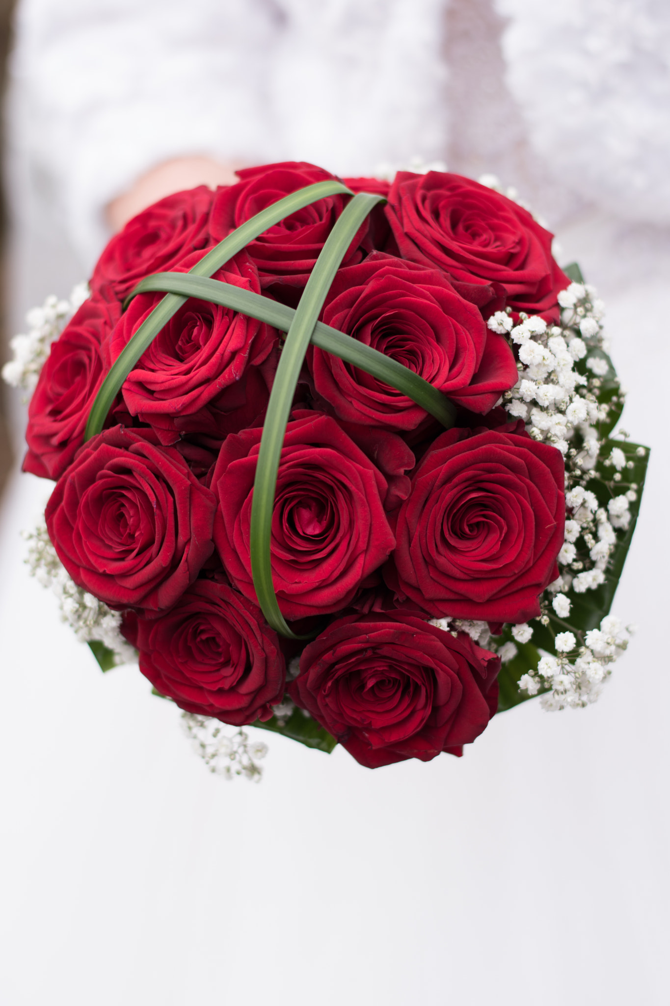 Nikon D5500 + Nikon AF-S Nikkor 50mm F1.8G sample photo. Dsc photography