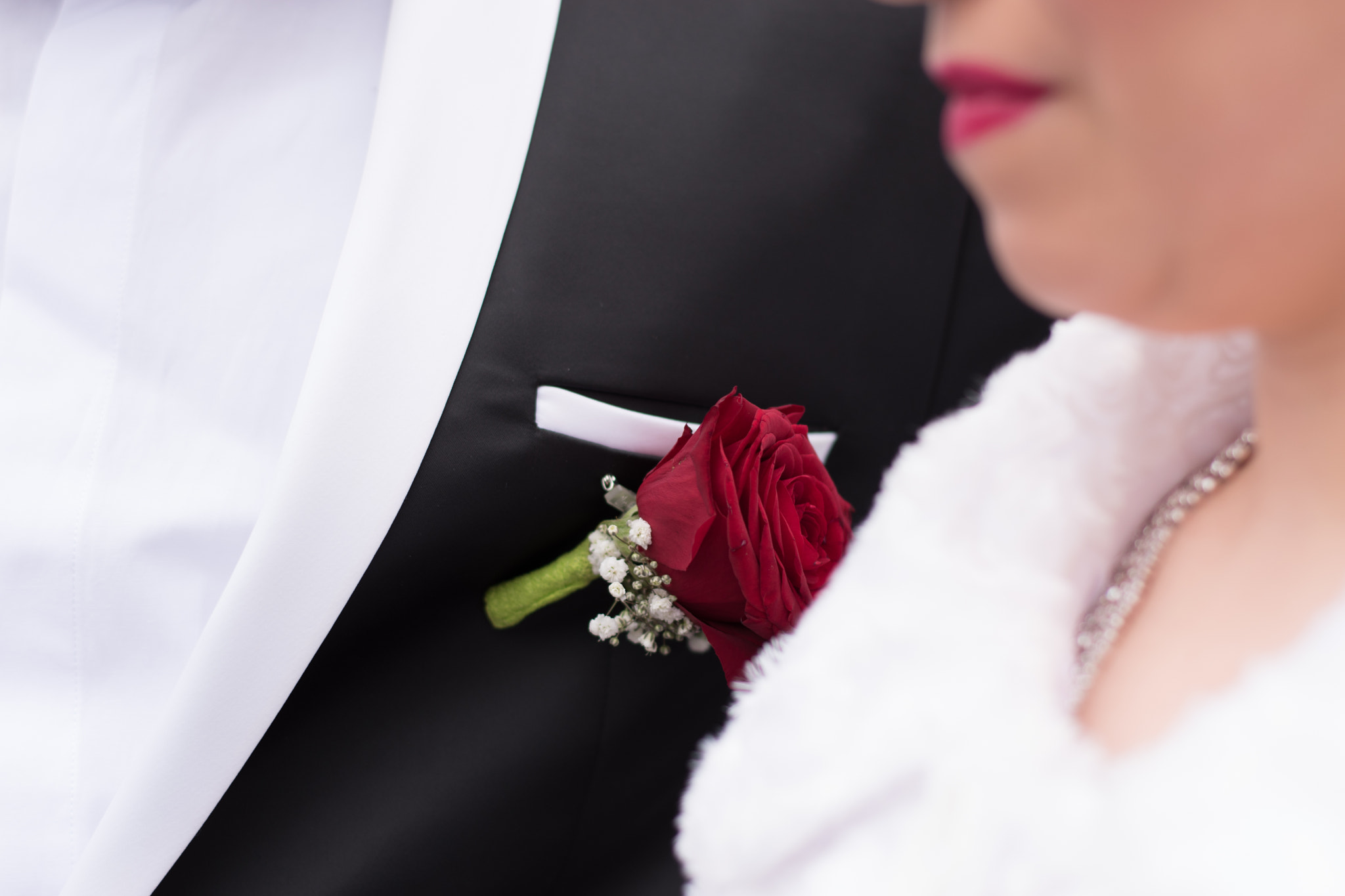 Nikon D5500 + Nikon AF-S Nikkor 50mm F1.8G sample photo. Dsc photography