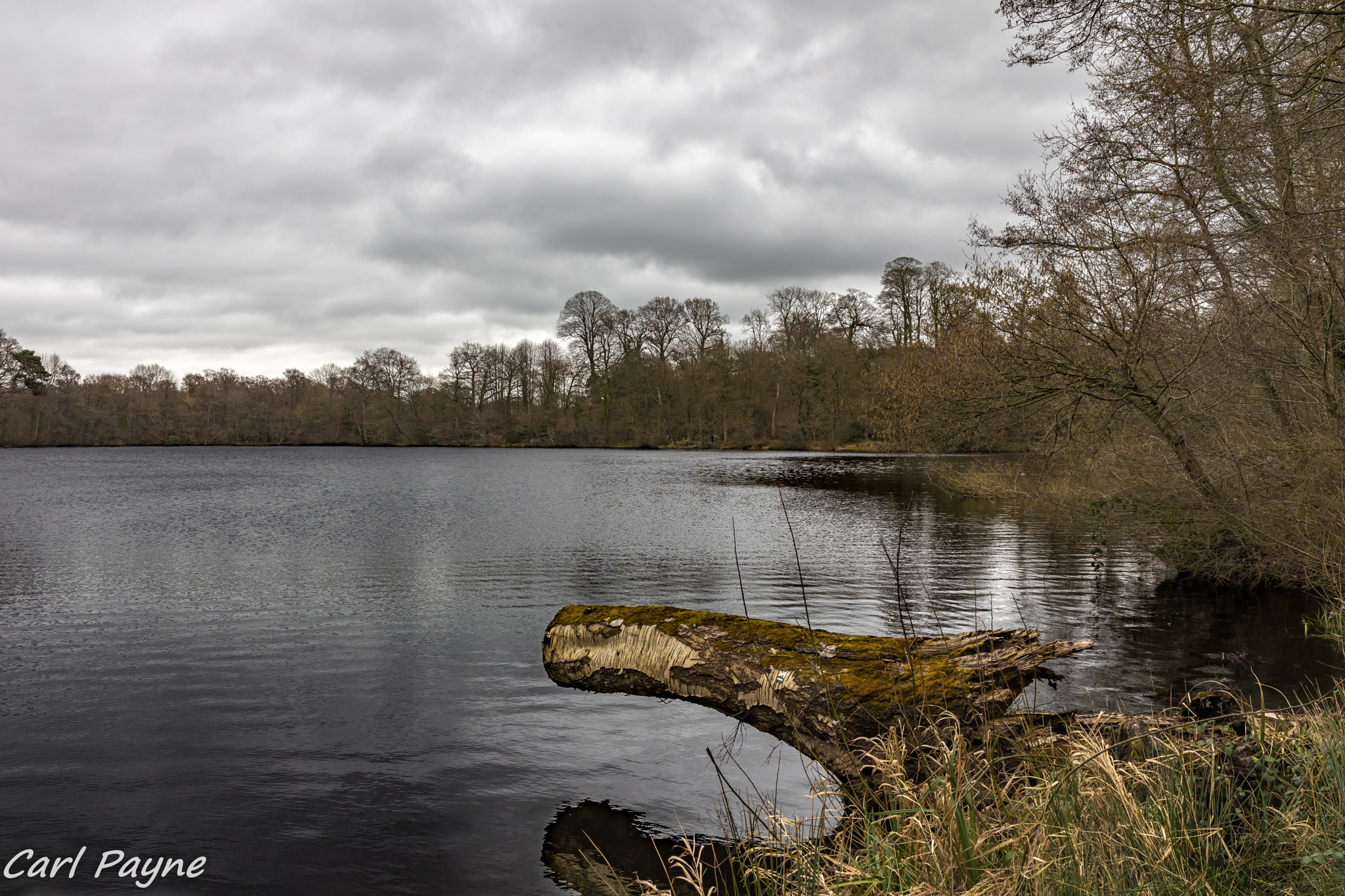 Canon EF 400mm f/2.8L sample photo. Blake mere lake photography