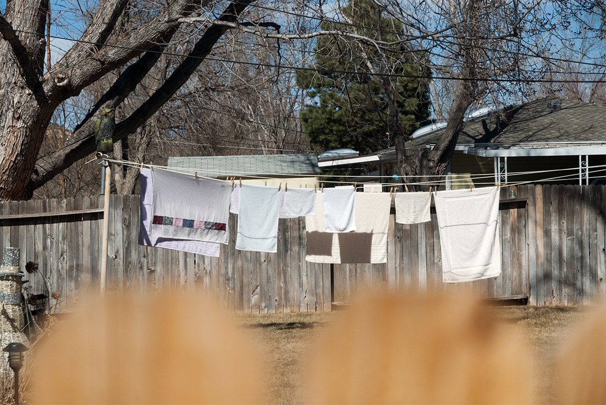 Nikon D200 sample photo. Fences photography