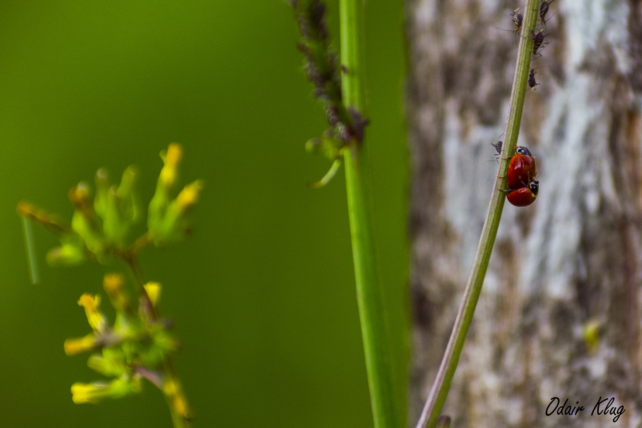 Nikon D5300 sample photo. Naturaleza en gestacion photography