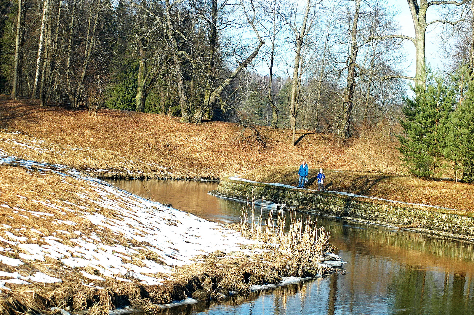 Nikon D70s sample photo. Pavlovsk 2017 russia photography