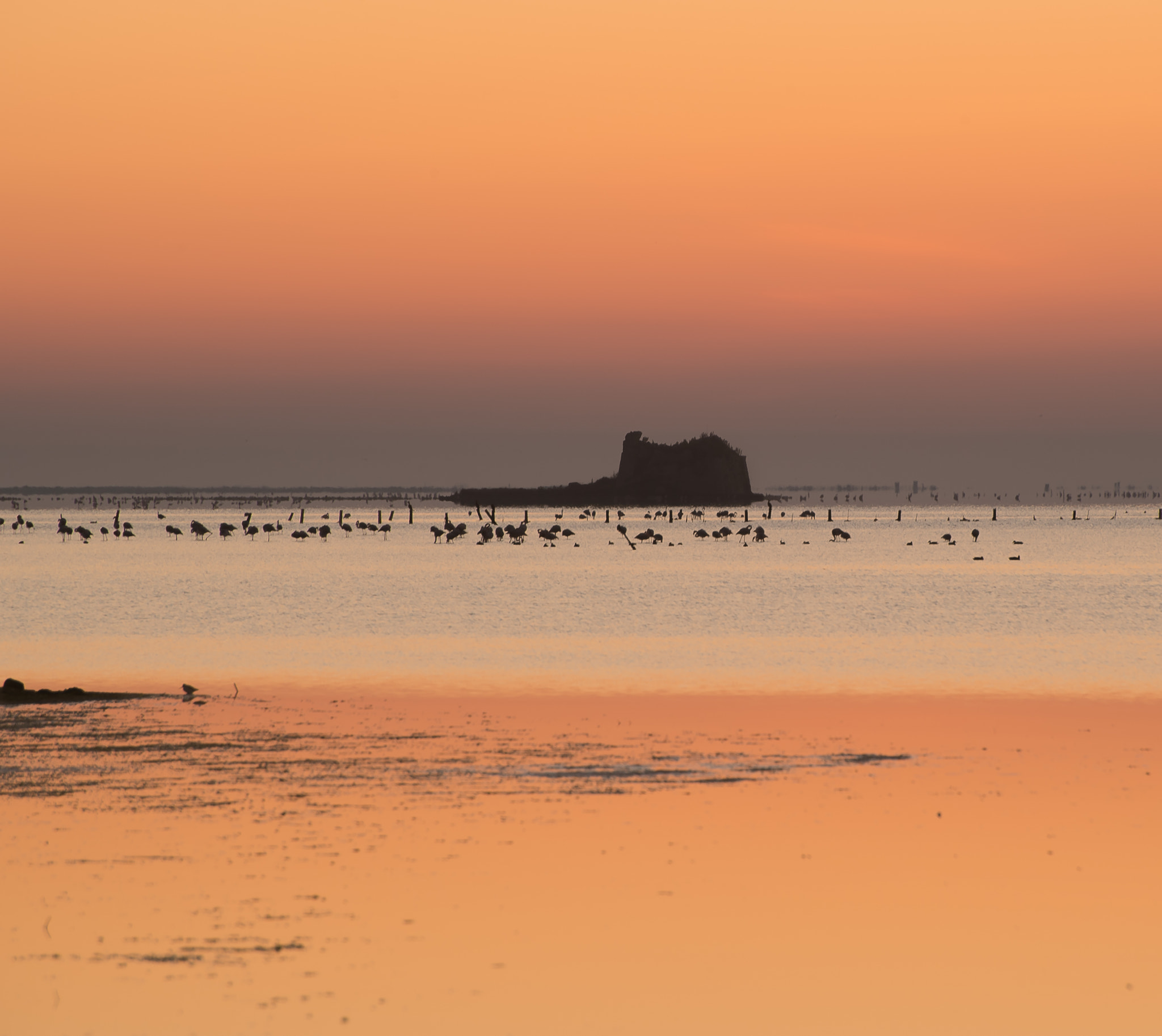 Nikon D5 + Nikon AF-S Nikkor 70-300mm F4.5-5.6G VR sample photo. Torre de sant joan photography