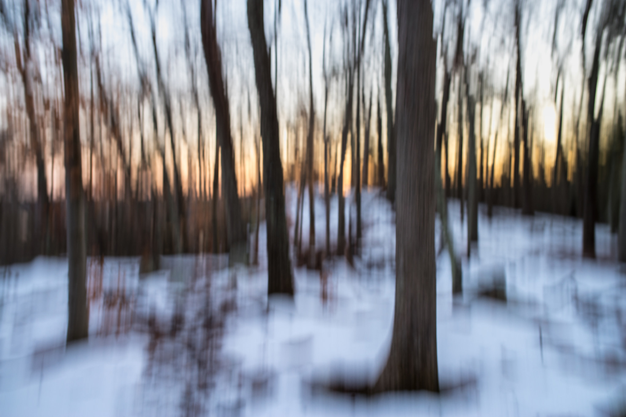 Pentax K-1 + Sigma 35mm F1.4 DG HSM Art sample photo. Sunset in a winter forest photography