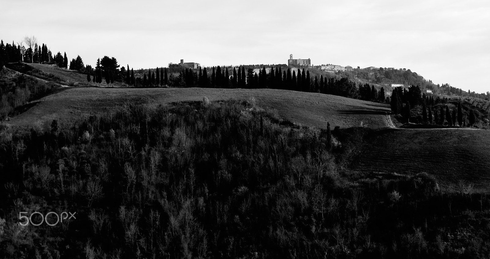Nikon AF-S Nikkor 28-70mm F2.8 ED-IF sample photo. San giusto photography