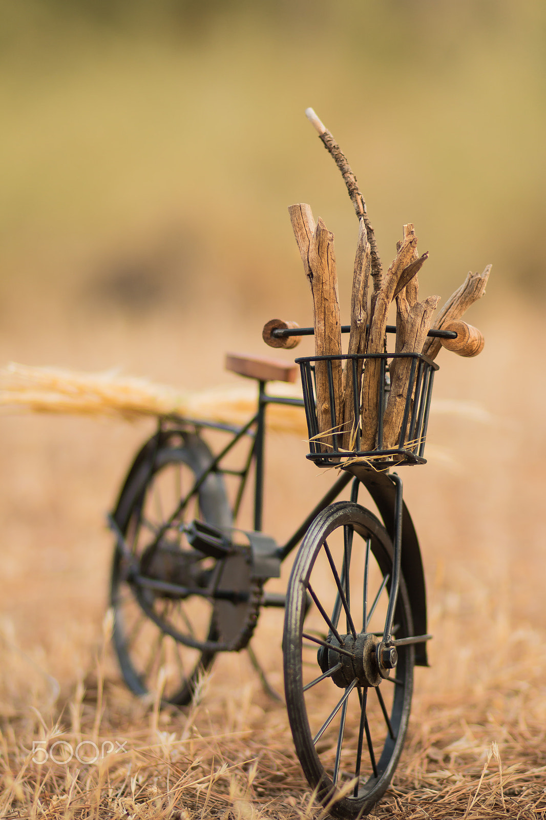 Canon EOS 70D + Canon EF 85mm F1.8 USM sample photo. A small bicycle photography