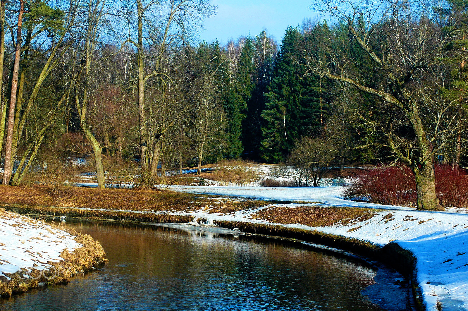 Nikon D70s sample photo. Pavlovsk 2017 photography