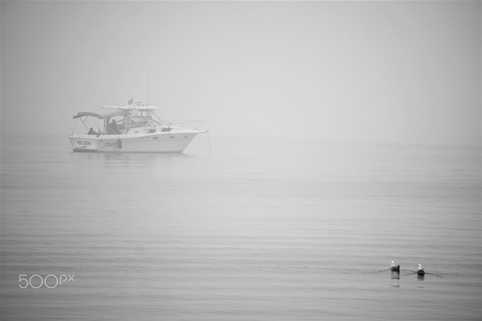Sony a6300 + Sony E 55-210mm F4.5-6.3 OSS sample photo. Two seagulls and  the boat photography