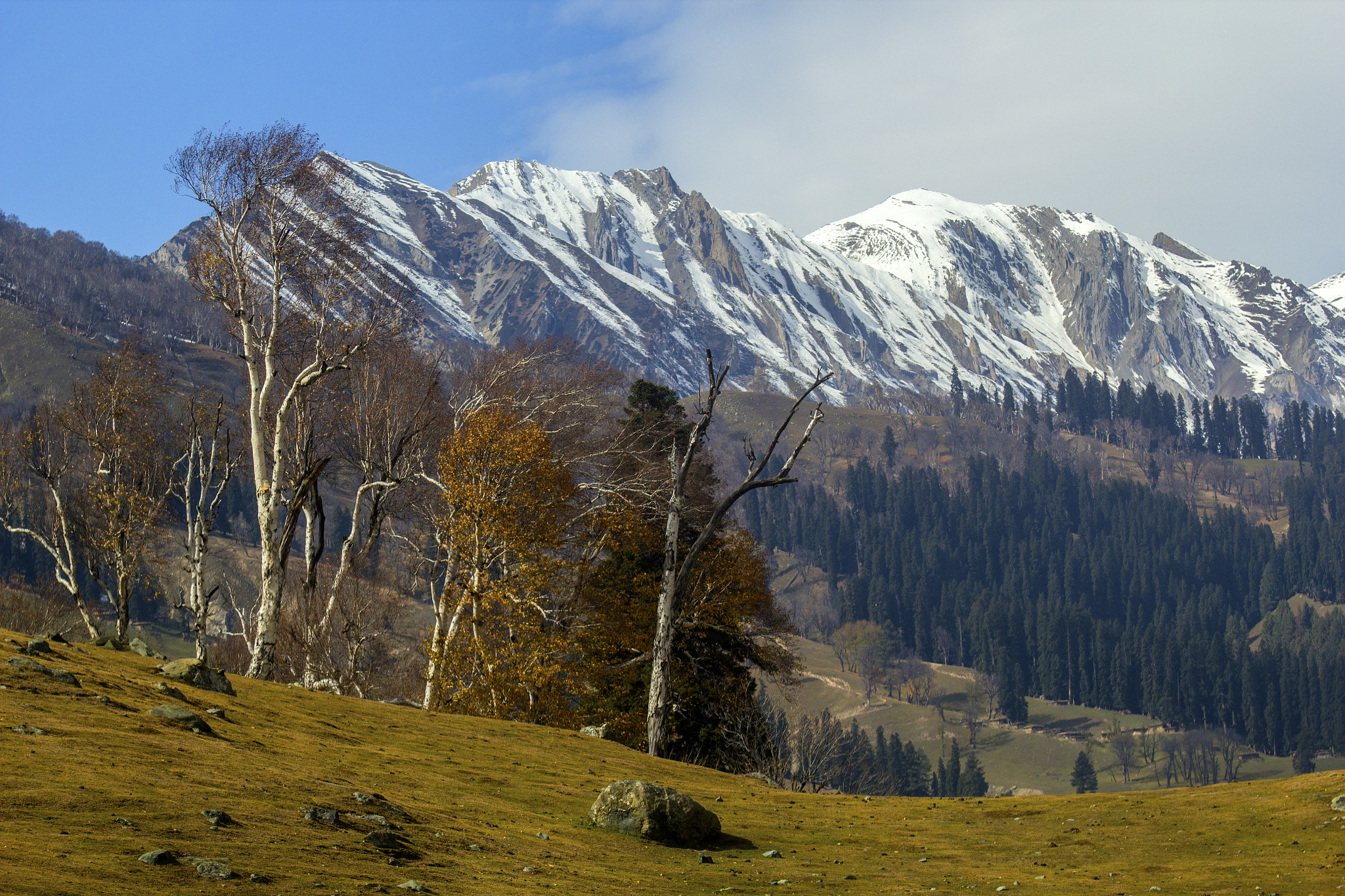 Tamron SP AF 70-200mm F2.8 Di LD (IF) MACRO sample photo. Kashmir landscape photography