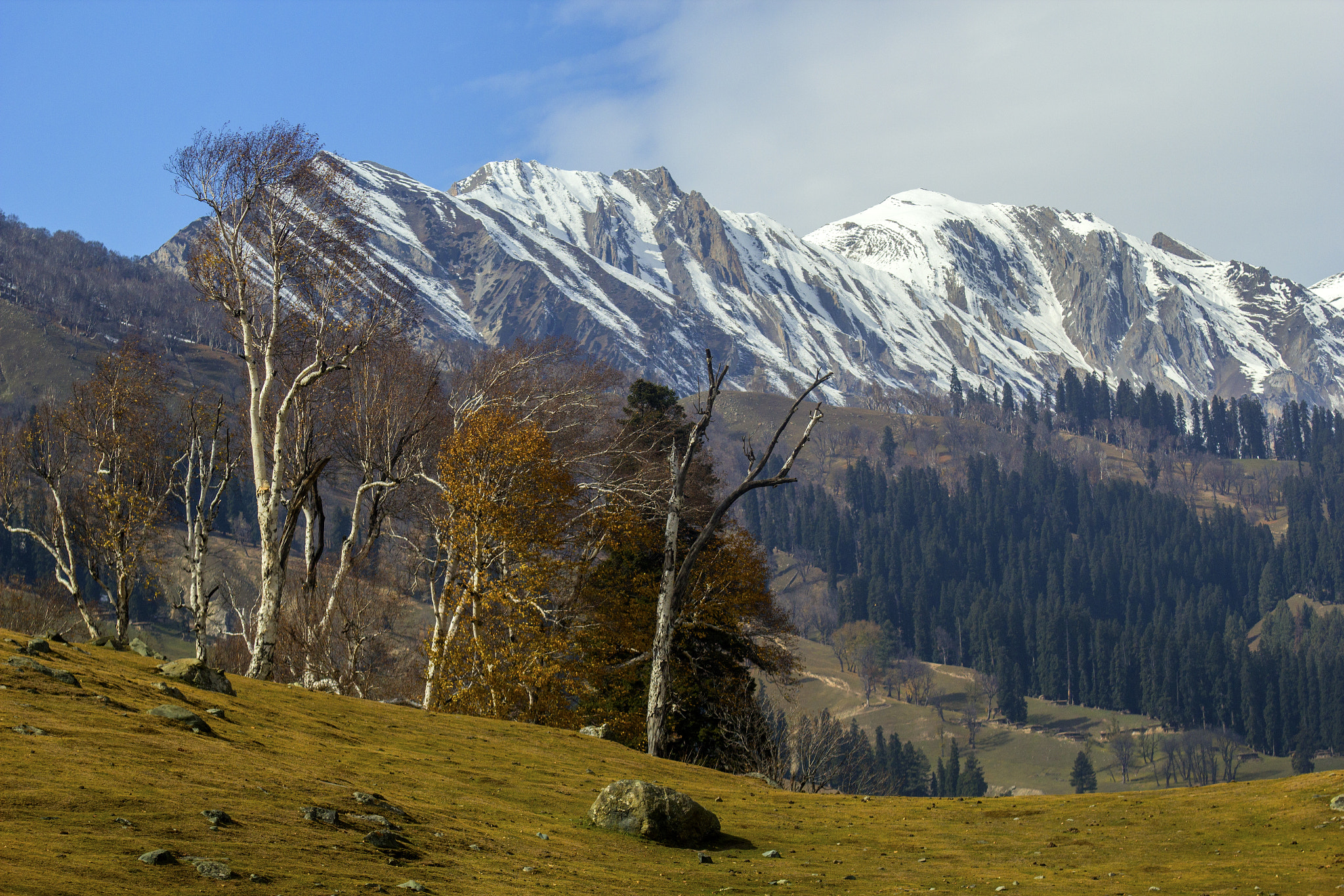 Canon EOS 550D (EOS Rebel T2i / EOS Kiss X4) + Tamron SP AF 70-200mm F2.8 Di LD (IF) MACRO sample photo. Kashmir landscape photography