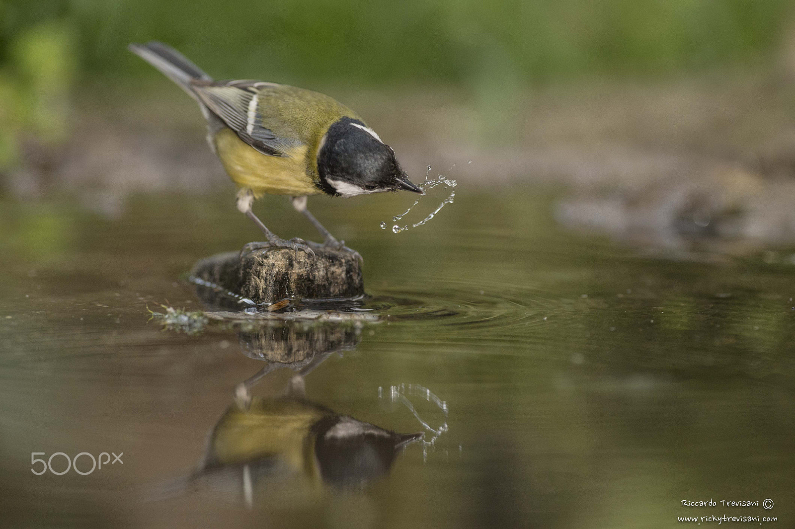 Nikon AF-S Nikkor 300mm F2.8G ED VR II sample photo. Water games photography
