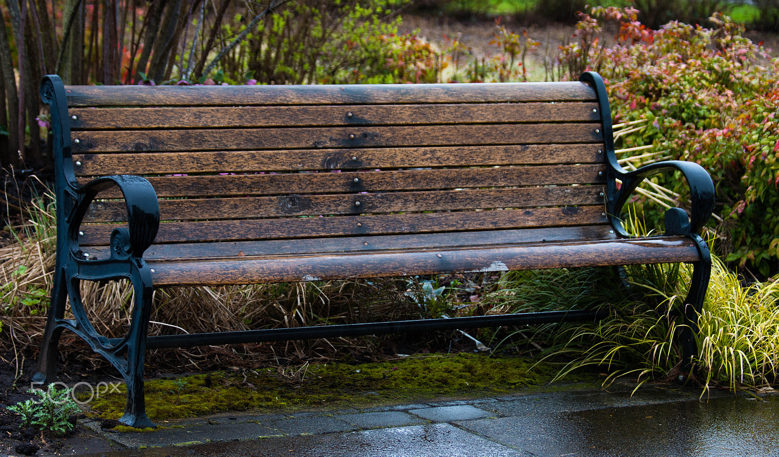 Canon EF 70-300mm F4-5.6 IS USM sample photo. Rain bench photography
