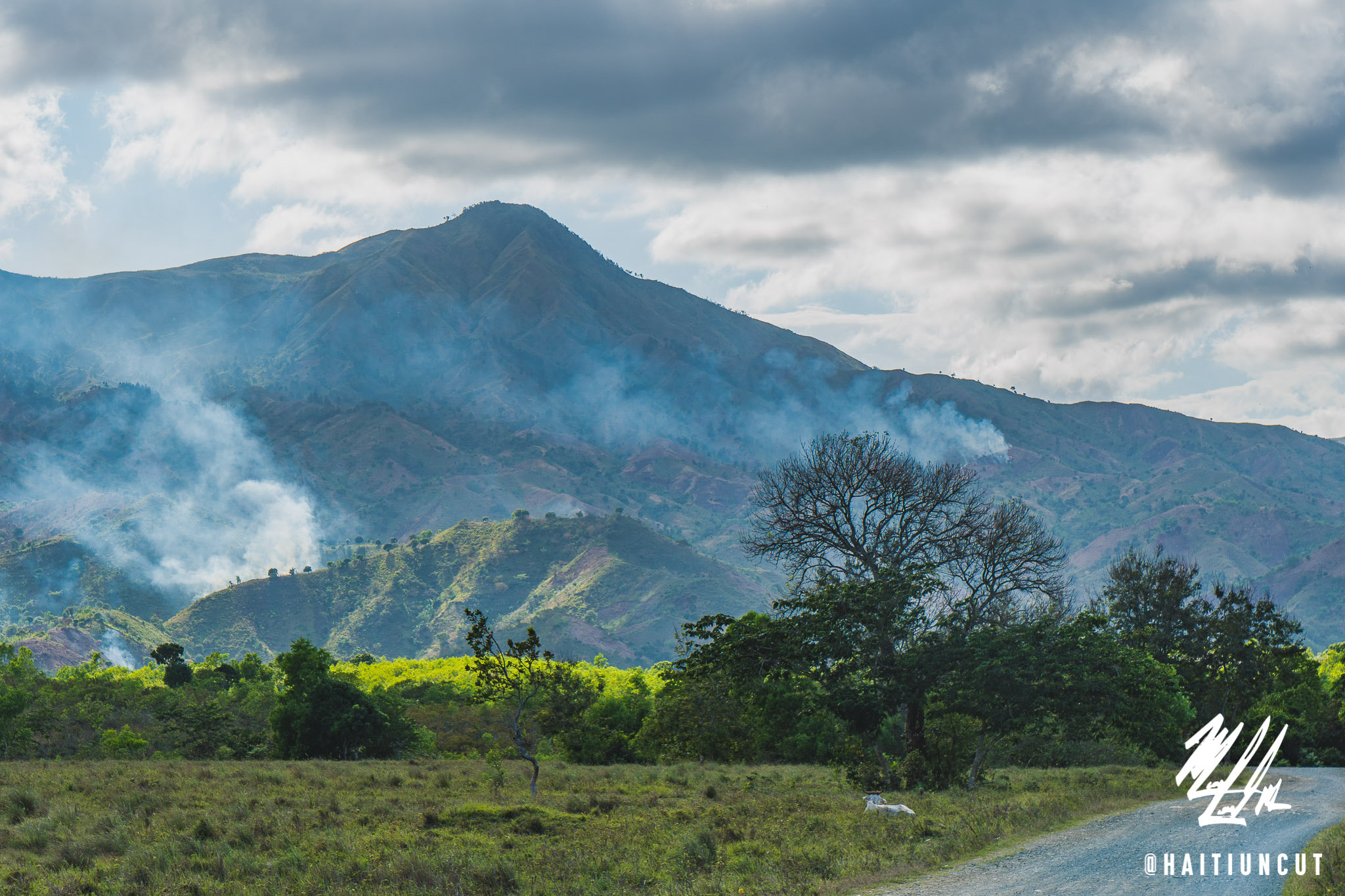 Sony a6300 sample photo. A jamaican friends asked me: max why are haitians always burning fire in the bush? photography