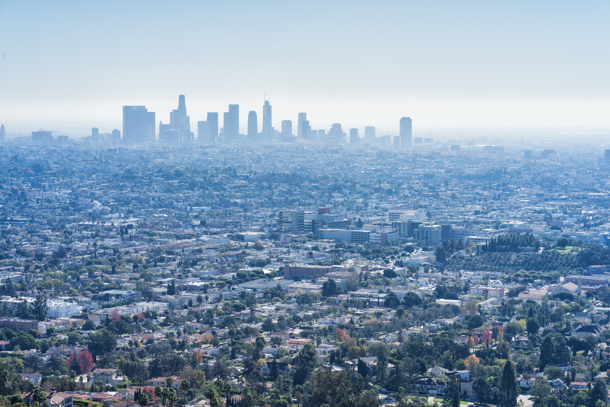 Sony a7 II sample photo. The city of angels photography