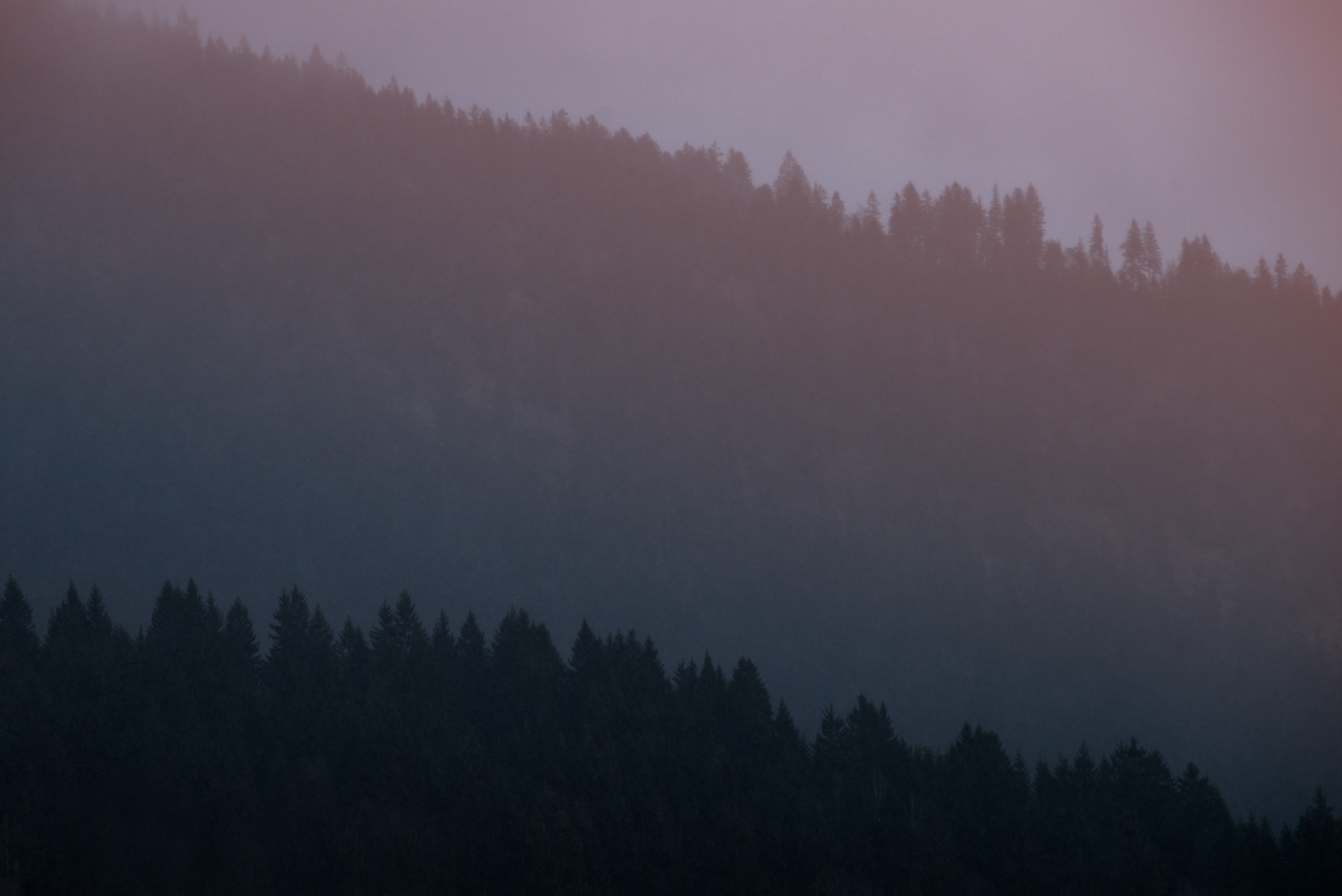 Sony a7R + Canon EF 70-200mm F4L USM sample photo. Layers  photography