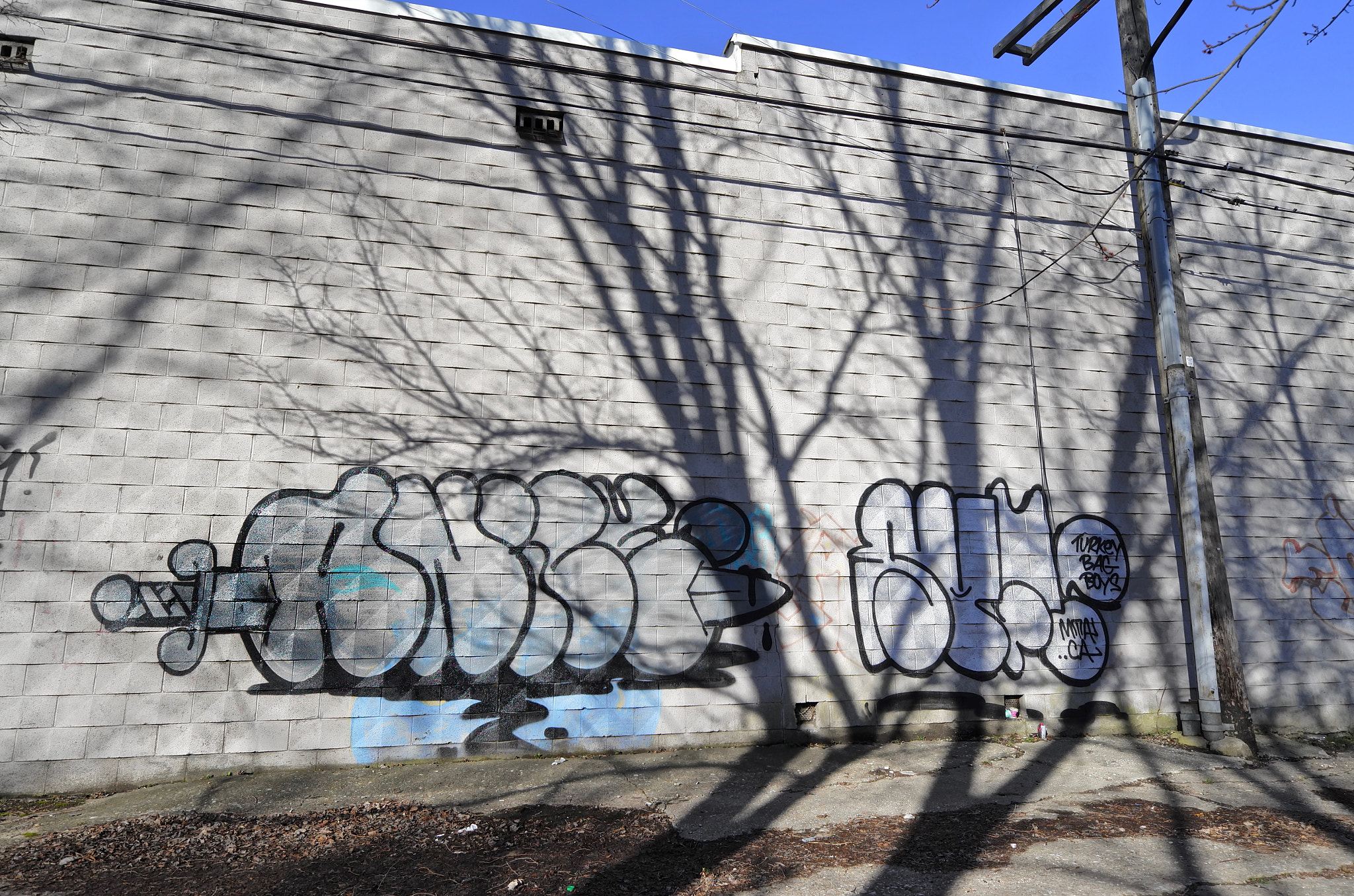 Leica T (Typ 701) sample photo. Anice x sufr photography