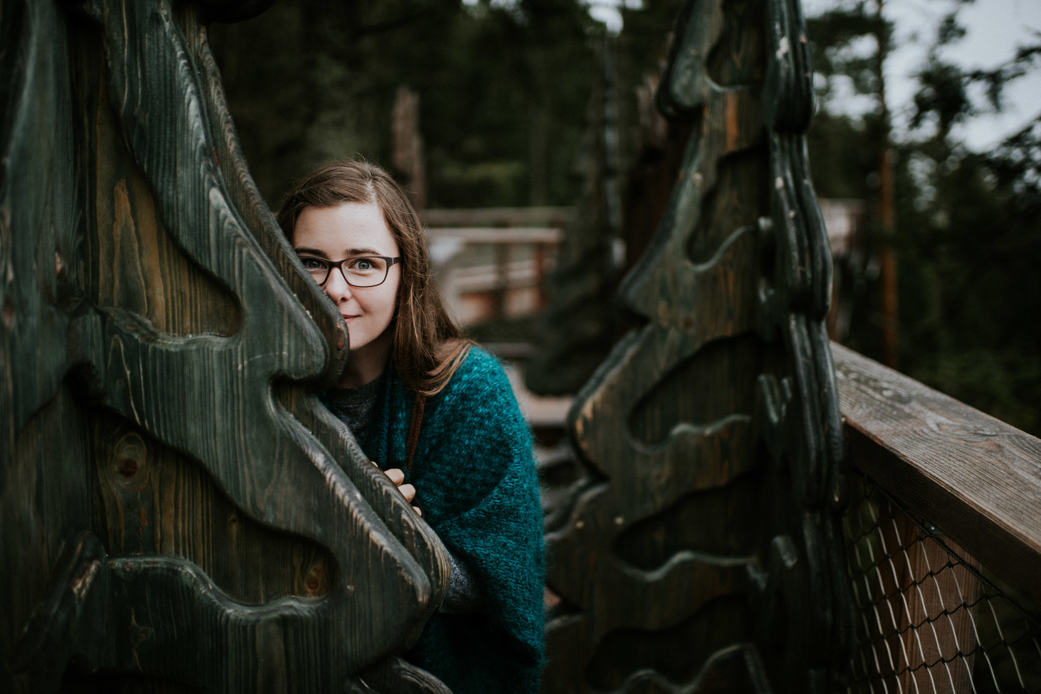 Sony a7 II + Sony DT 50mm F1.8 SAM sample photo. Black forest, germany photography