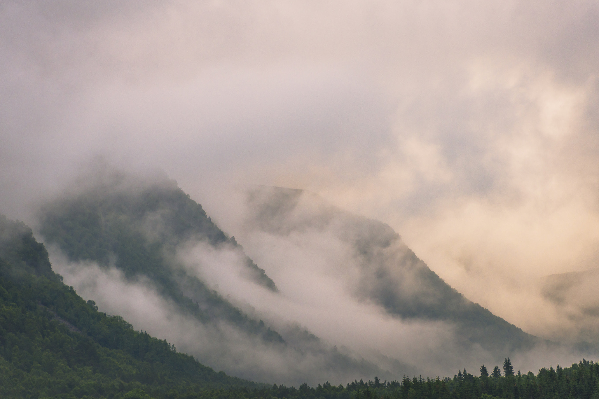 Nikon D810 sample photo. Foggy moments in todalen photography