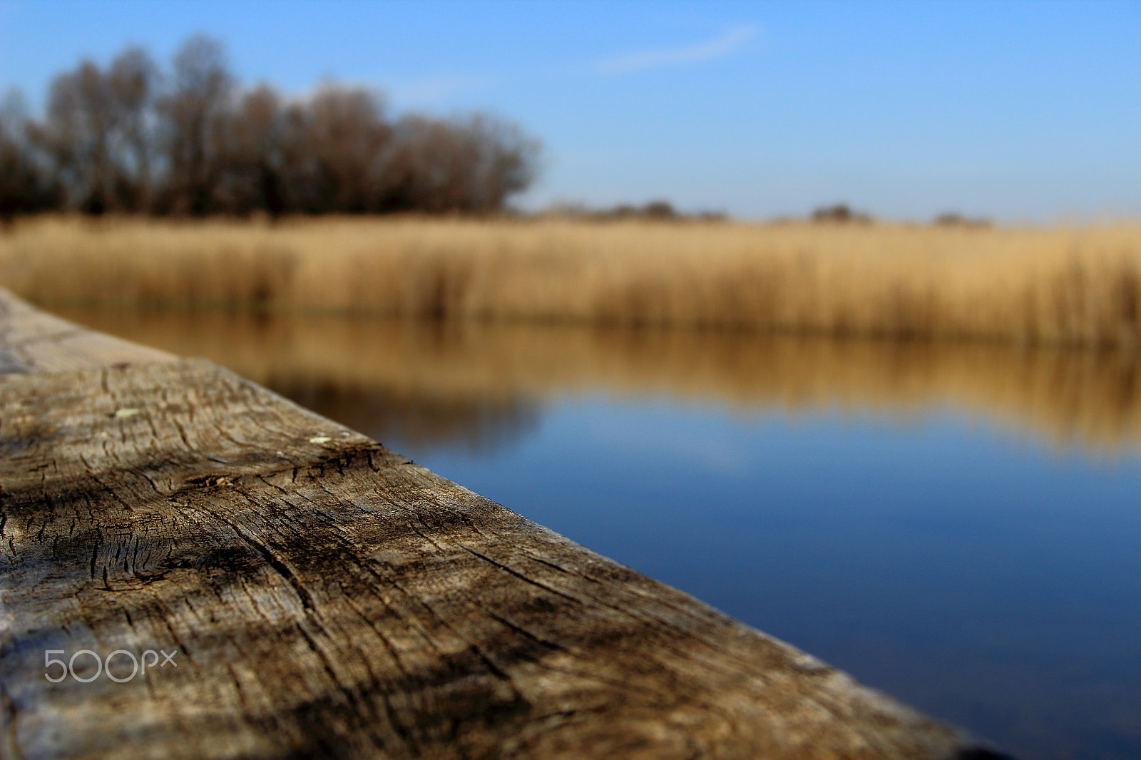 Canon EF-S 18-135mm F3.5-5.6 IS sample photo. Vista photography