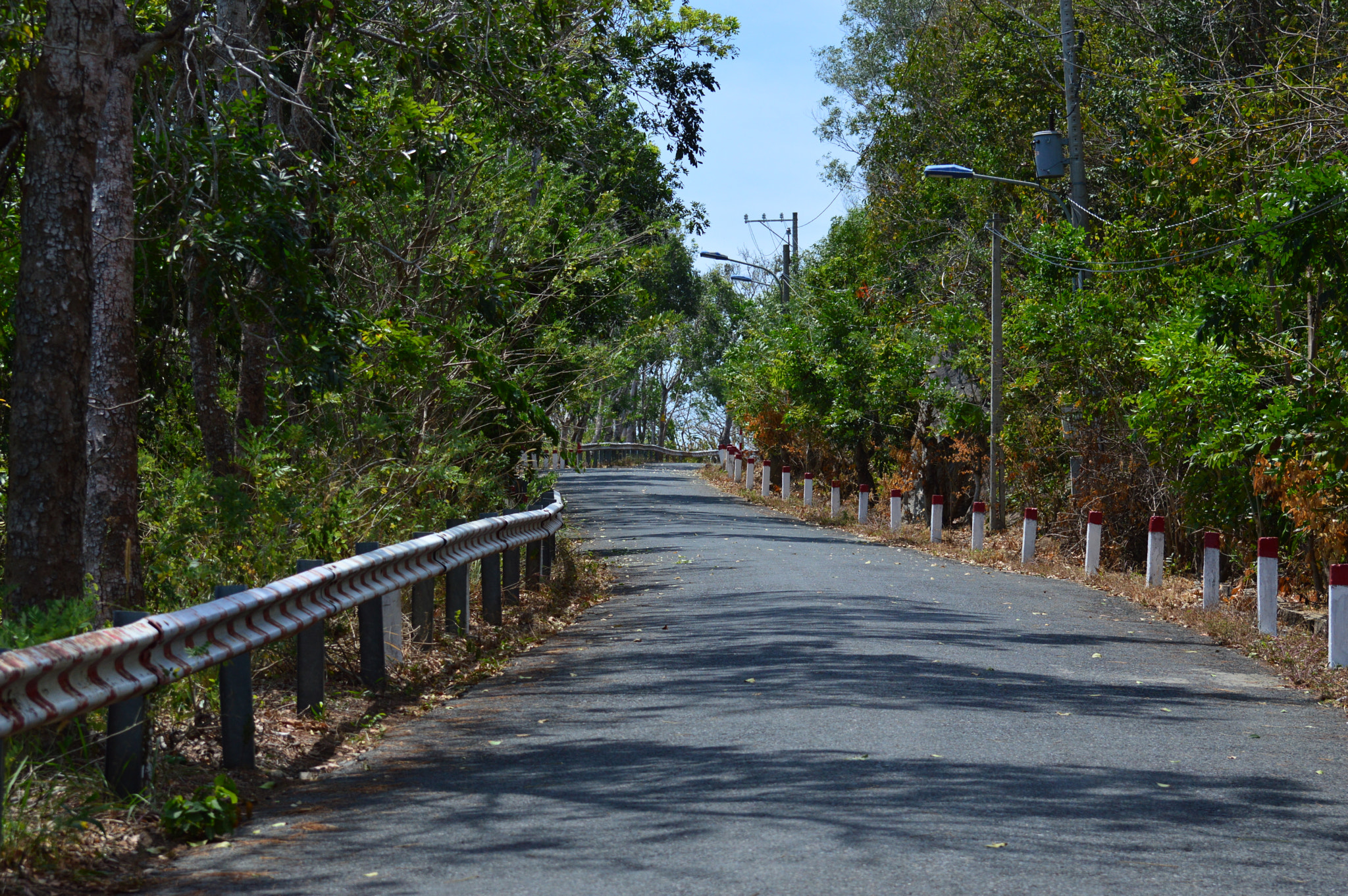 Nikon D3200 sample photo. Winding path photography