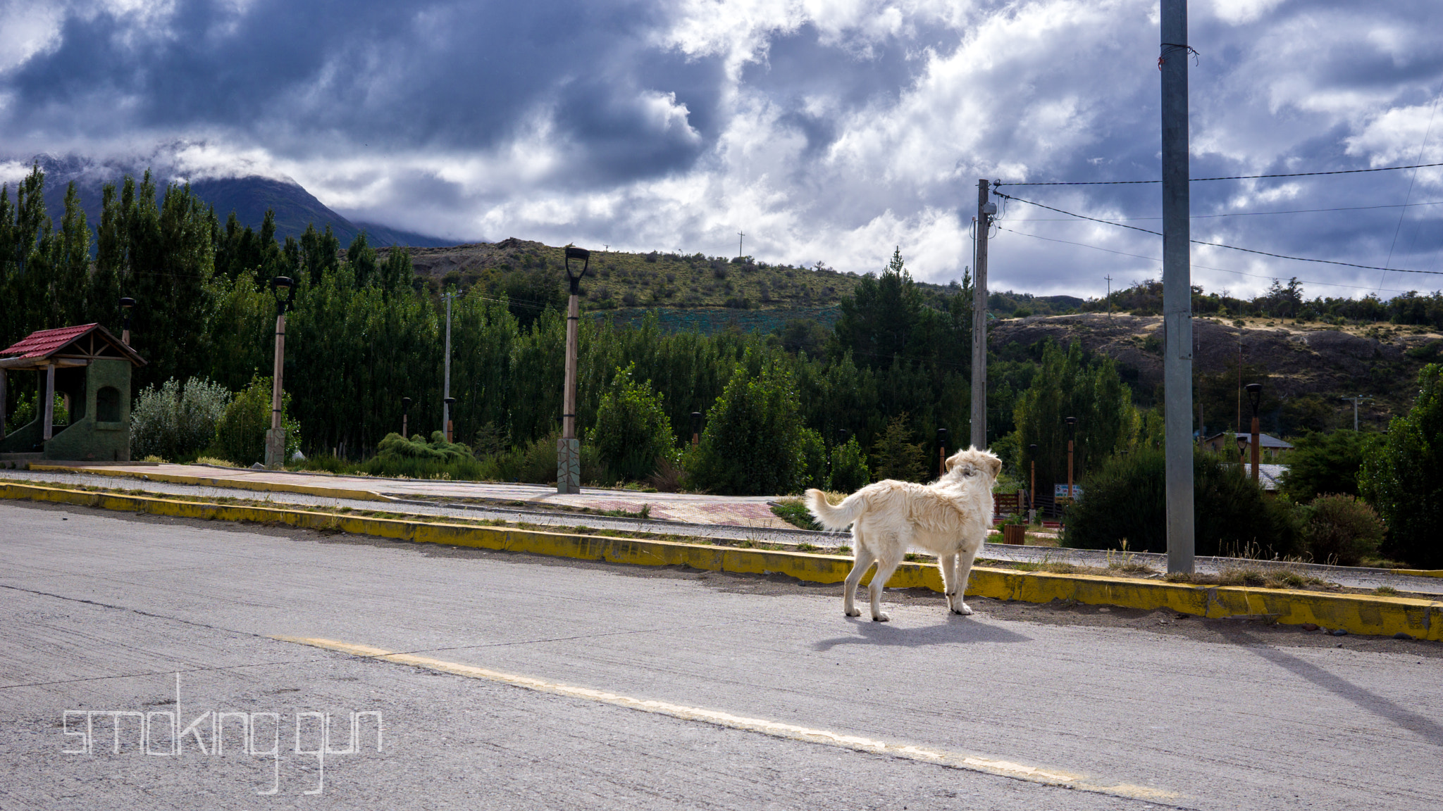 Sony a6000 sample photo. Dog watching the clouds photography