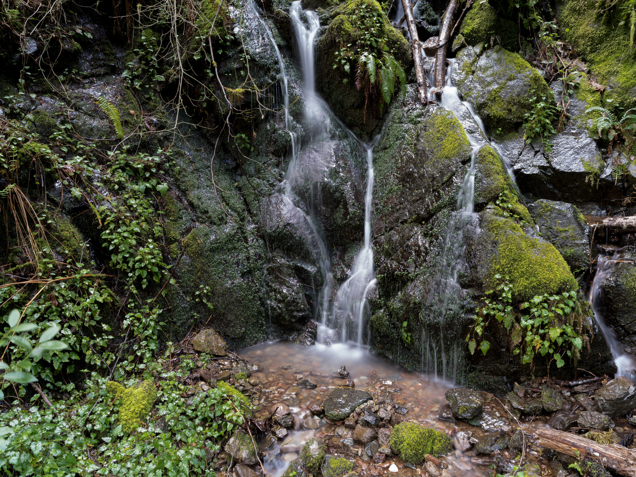 Pentax 645Z sample photo. Rogue river – siskiyou national forest photography