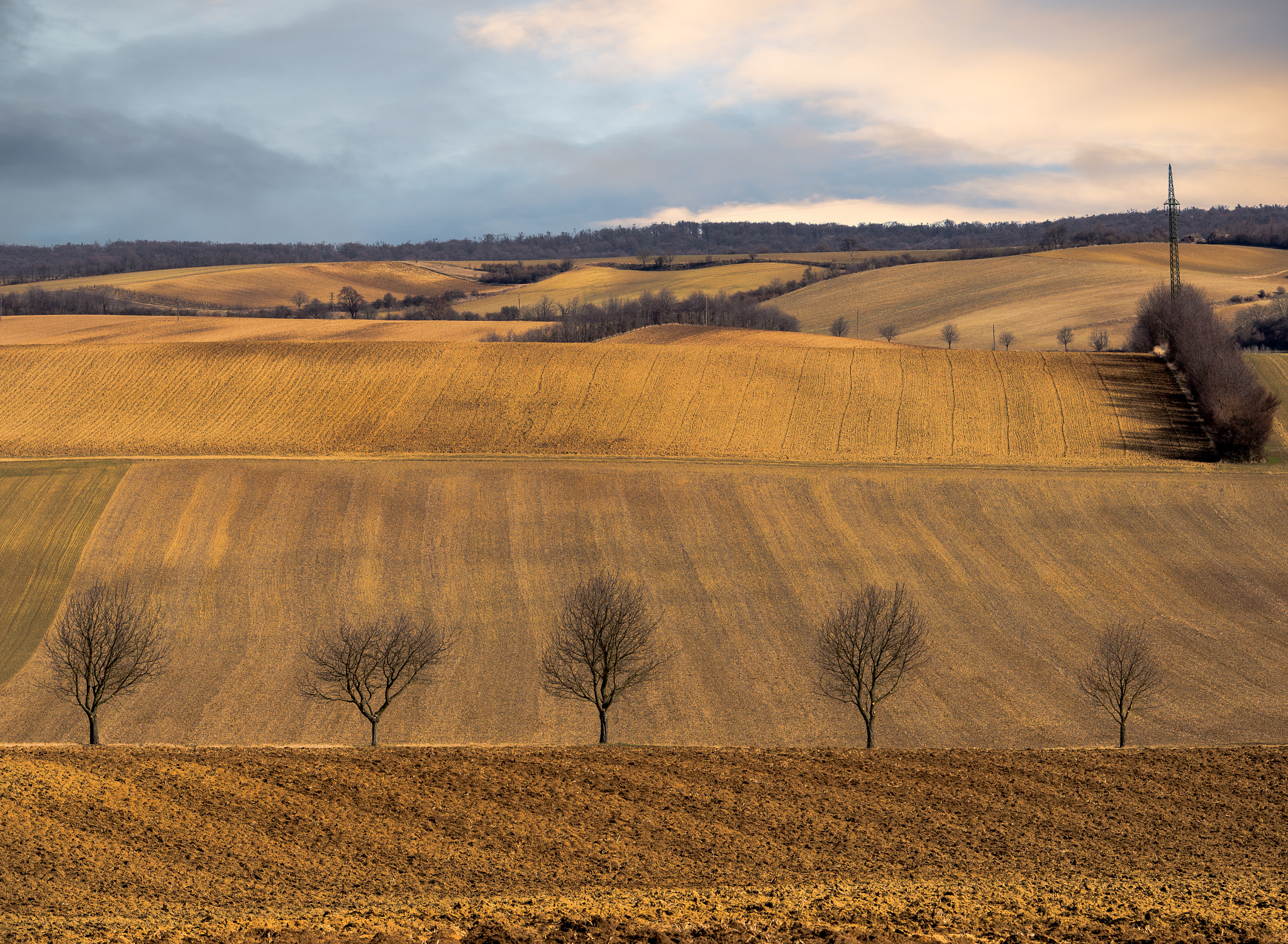 Nikon AF-S Nikkor 70-200mm F2.8G ED VR II sample photo. Spring will come soon. something new is hidden in photography