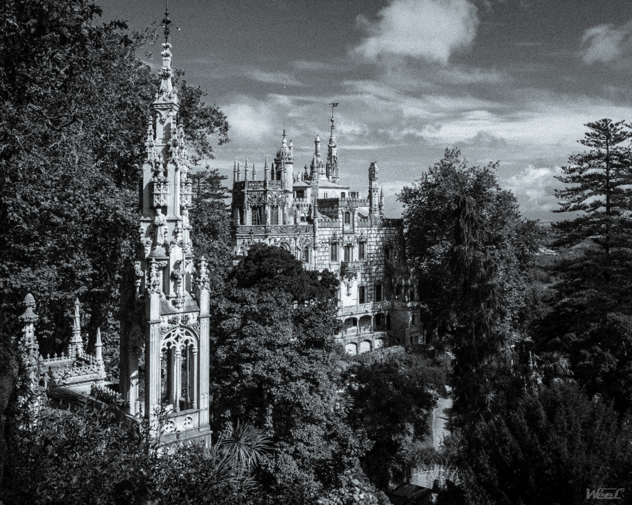 Leica D-Lux 6 sample photo. Quinta da regaleira photography