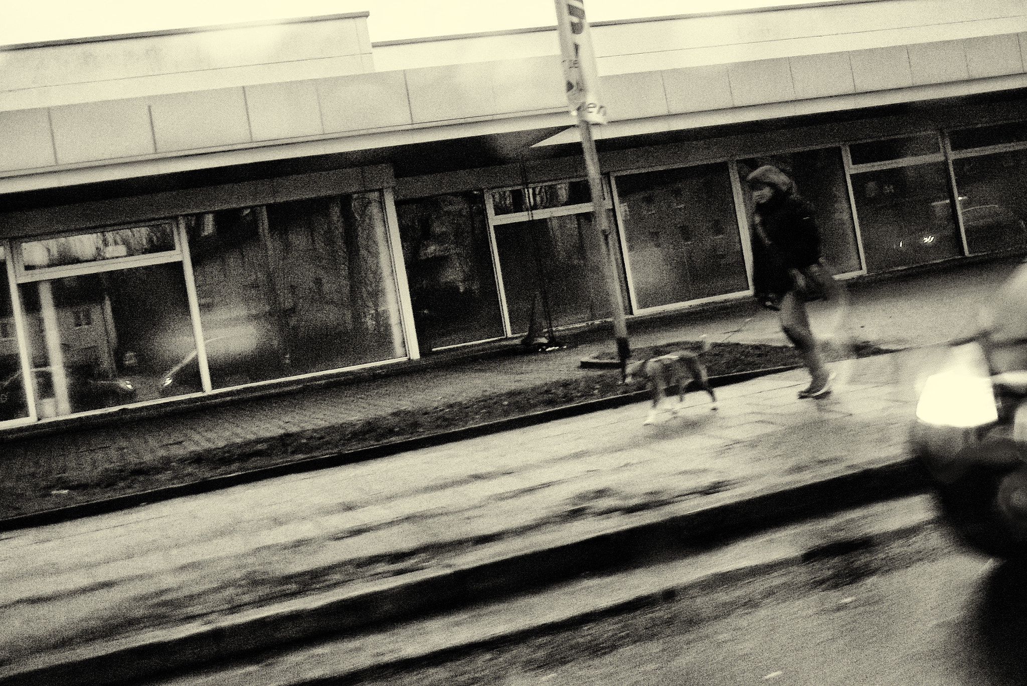AF Zoom-Nikkor 28-105mm f/3.5-4.5D IF sample photo. Rainy late afternoon photography