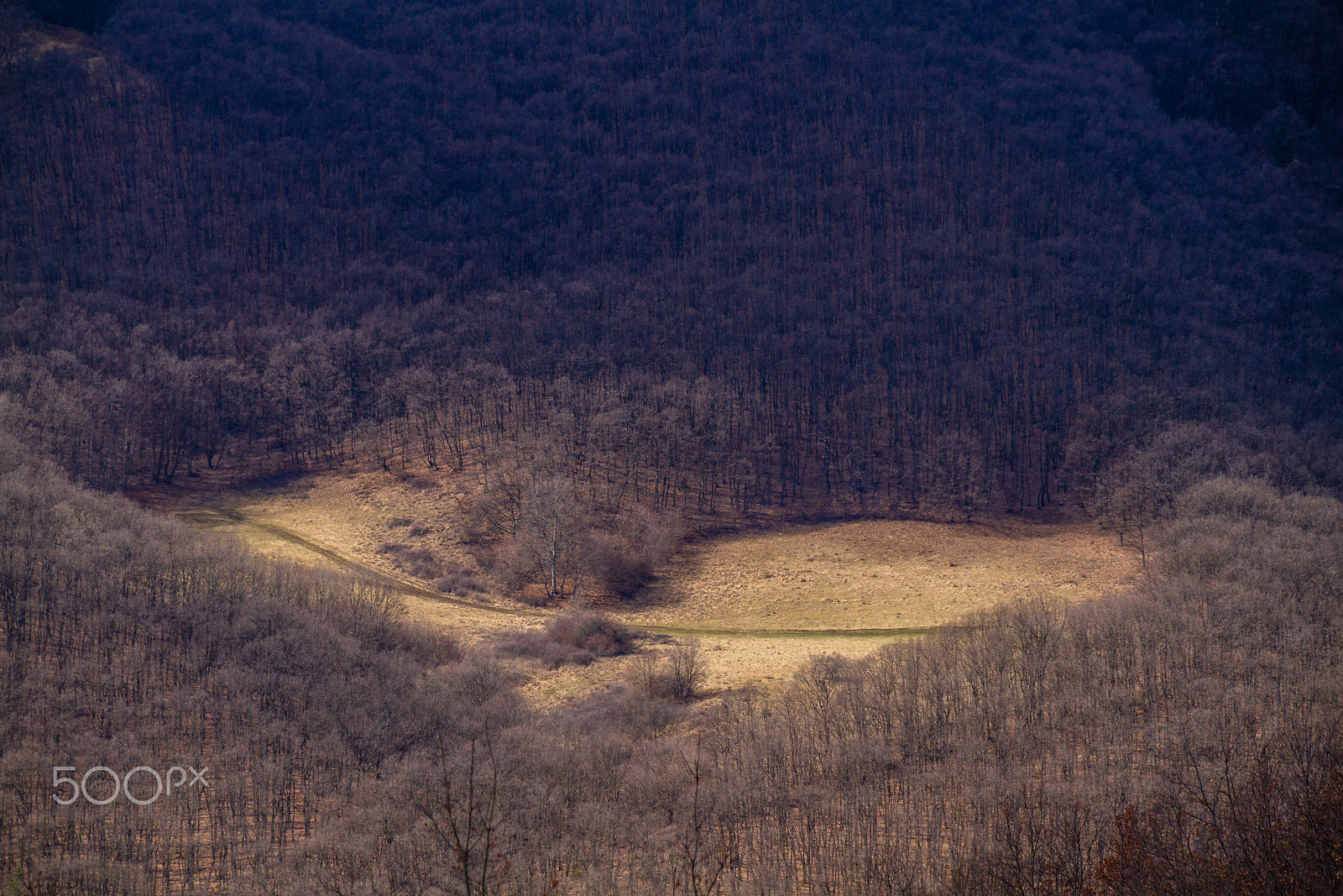 Canon EOS 7D sample photo. Poiana dragostei/ meadow of love photography