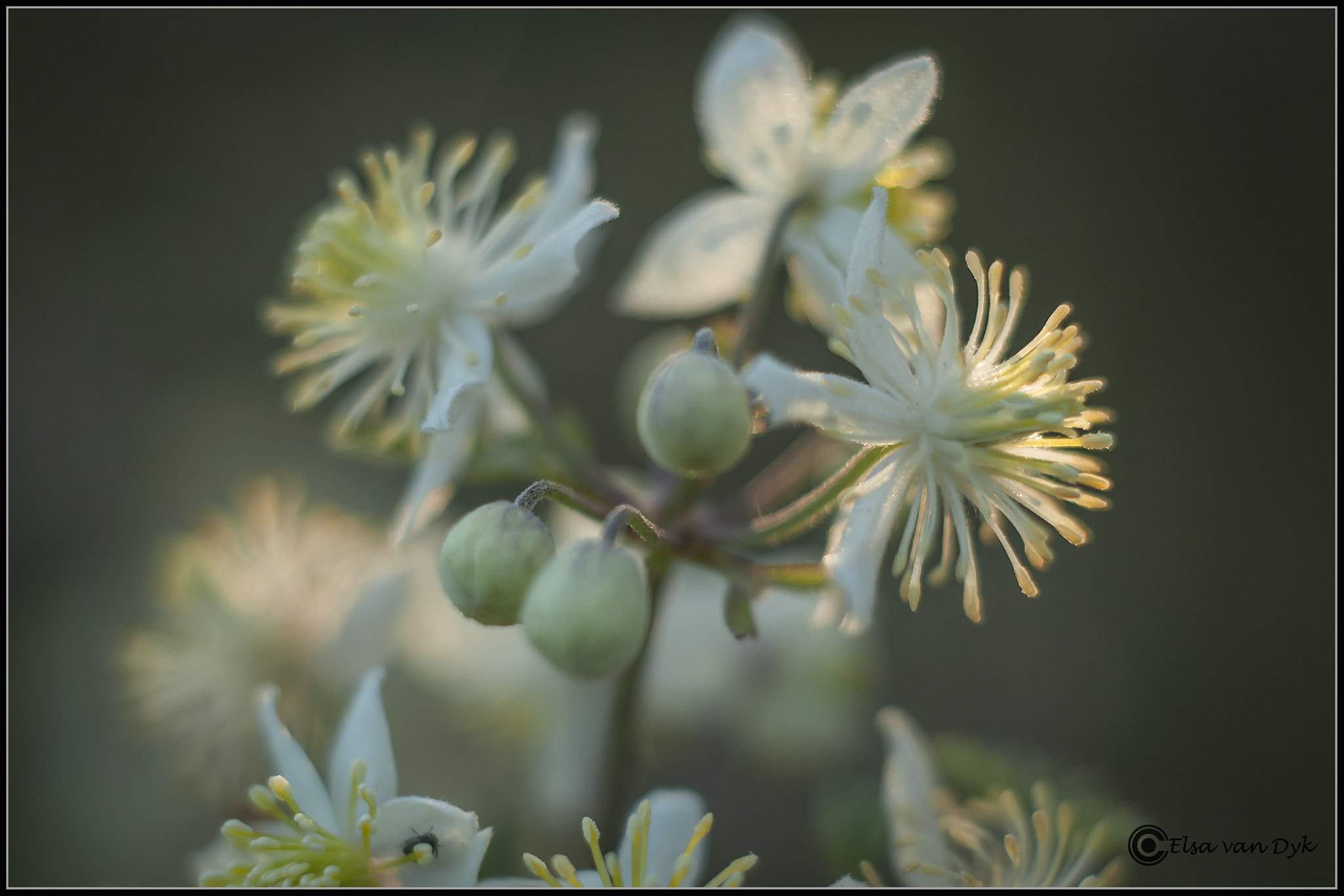 Nikon D300 sample photo. Against the light photography