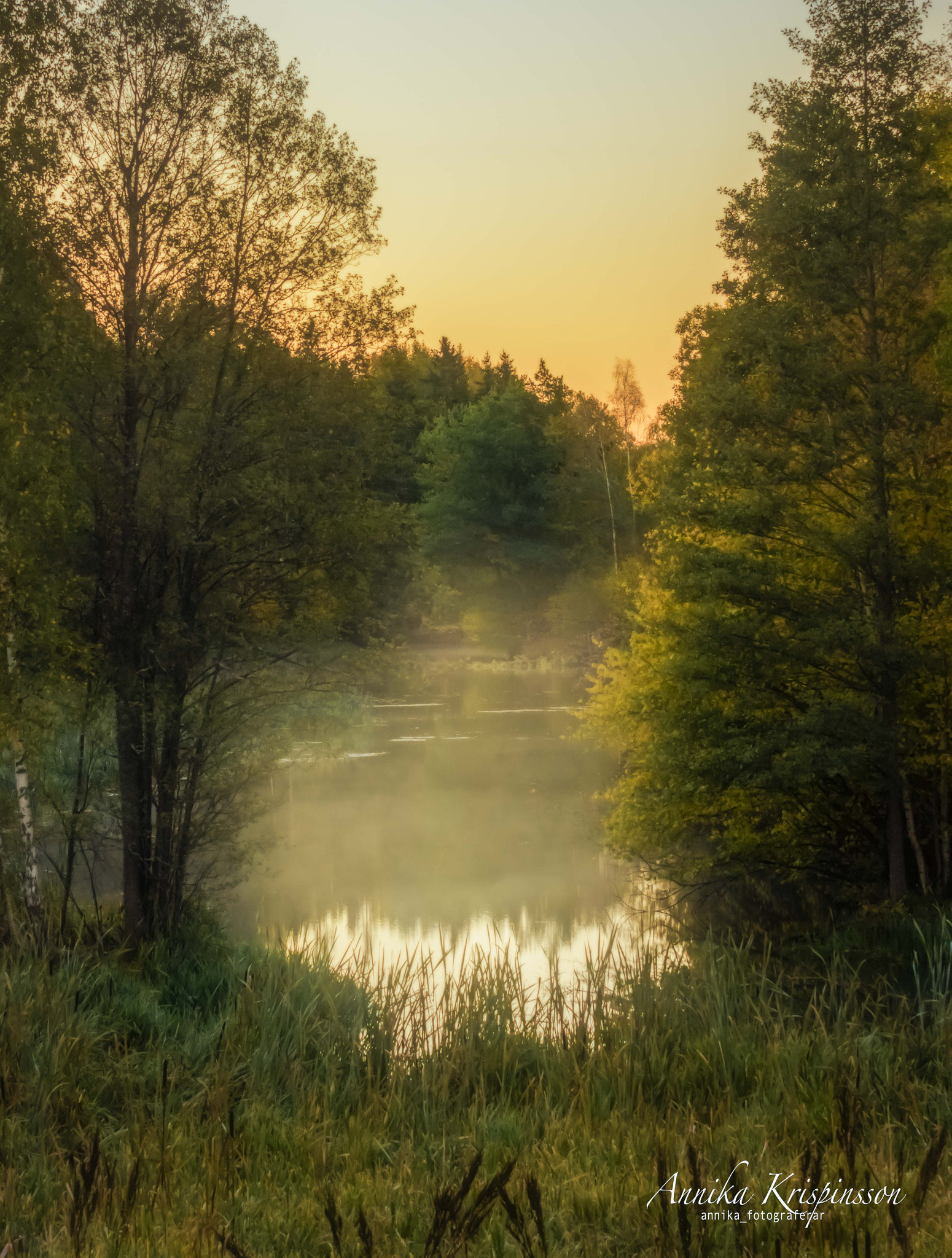 Nikon D7200 sample photo. Early august morning photography
