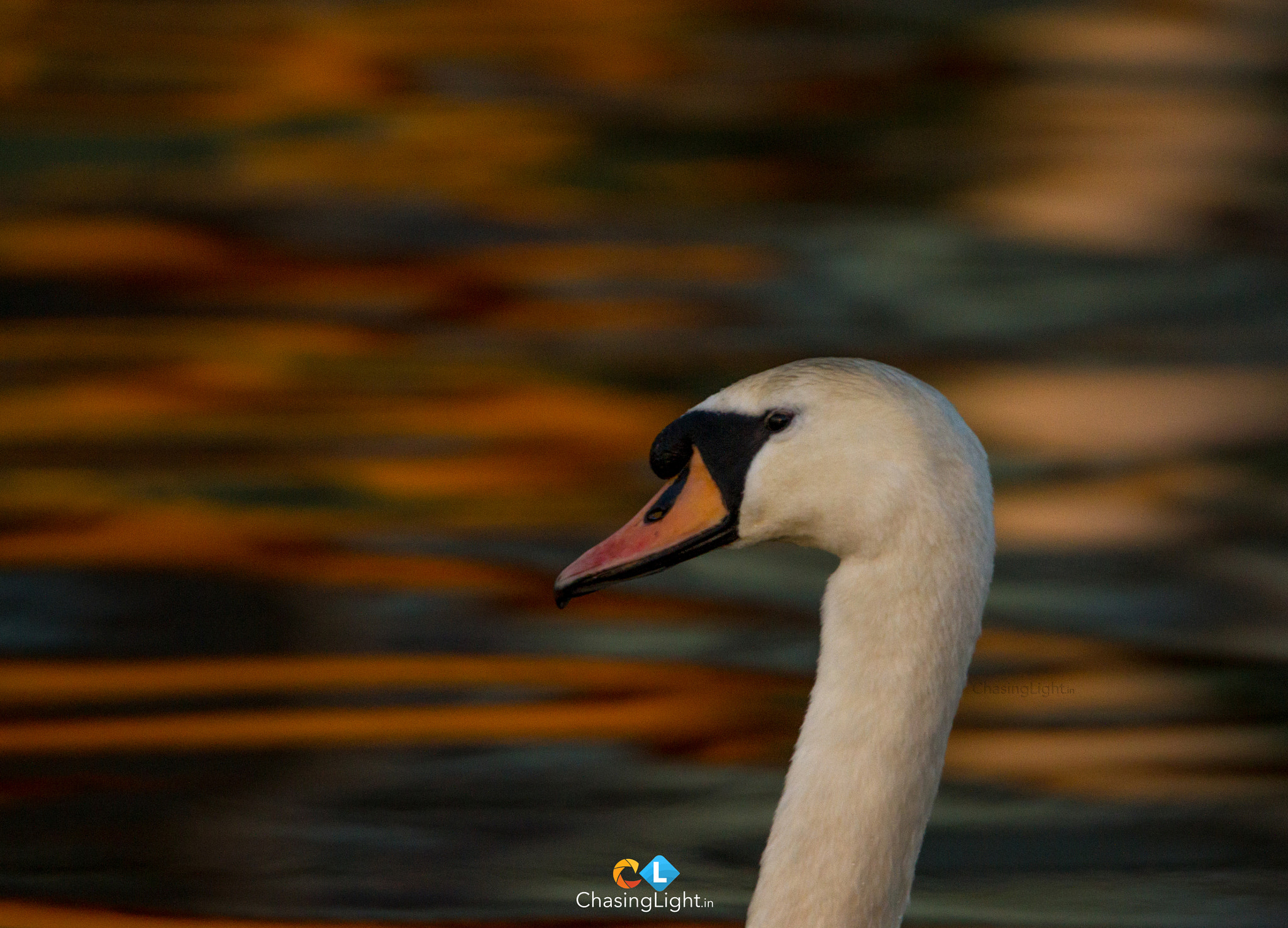 Canon EOS 7D sample photo. People will stare, make it worth their while photography