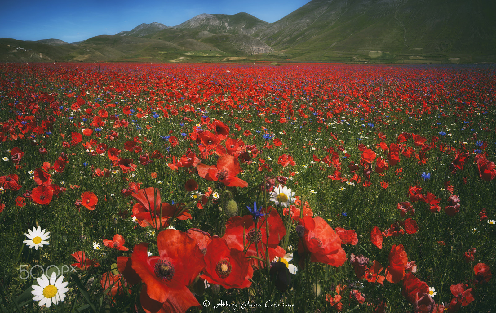 Sigma 10-20mm F4-5.6 EX DC HSM sample photo. Red infinity photography