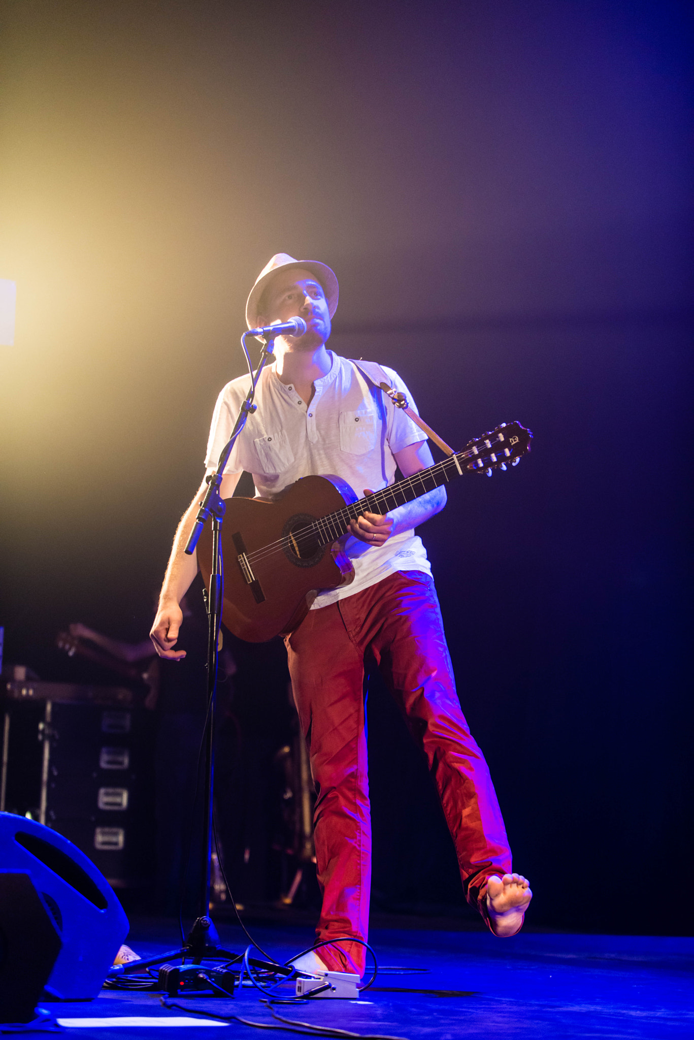 Nikon D800 sample photo. Music live - tripix studio photography