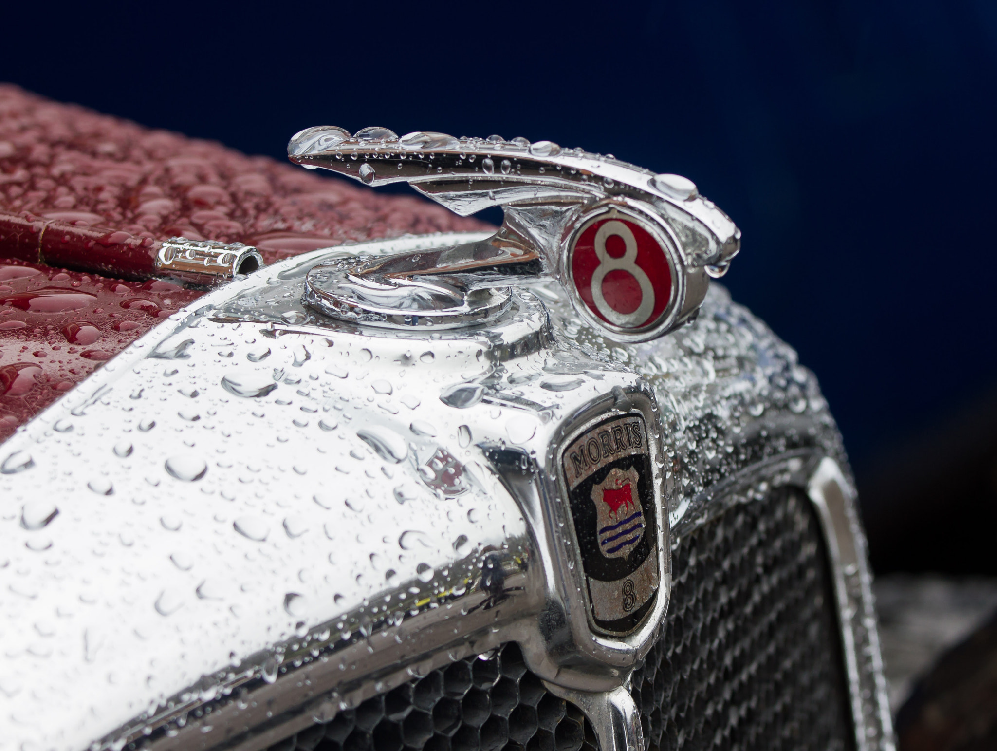 Canon EOS 7D + Canon EF 70-200mm F4L IS USM sample photo. Morris eighteen car mascot photography