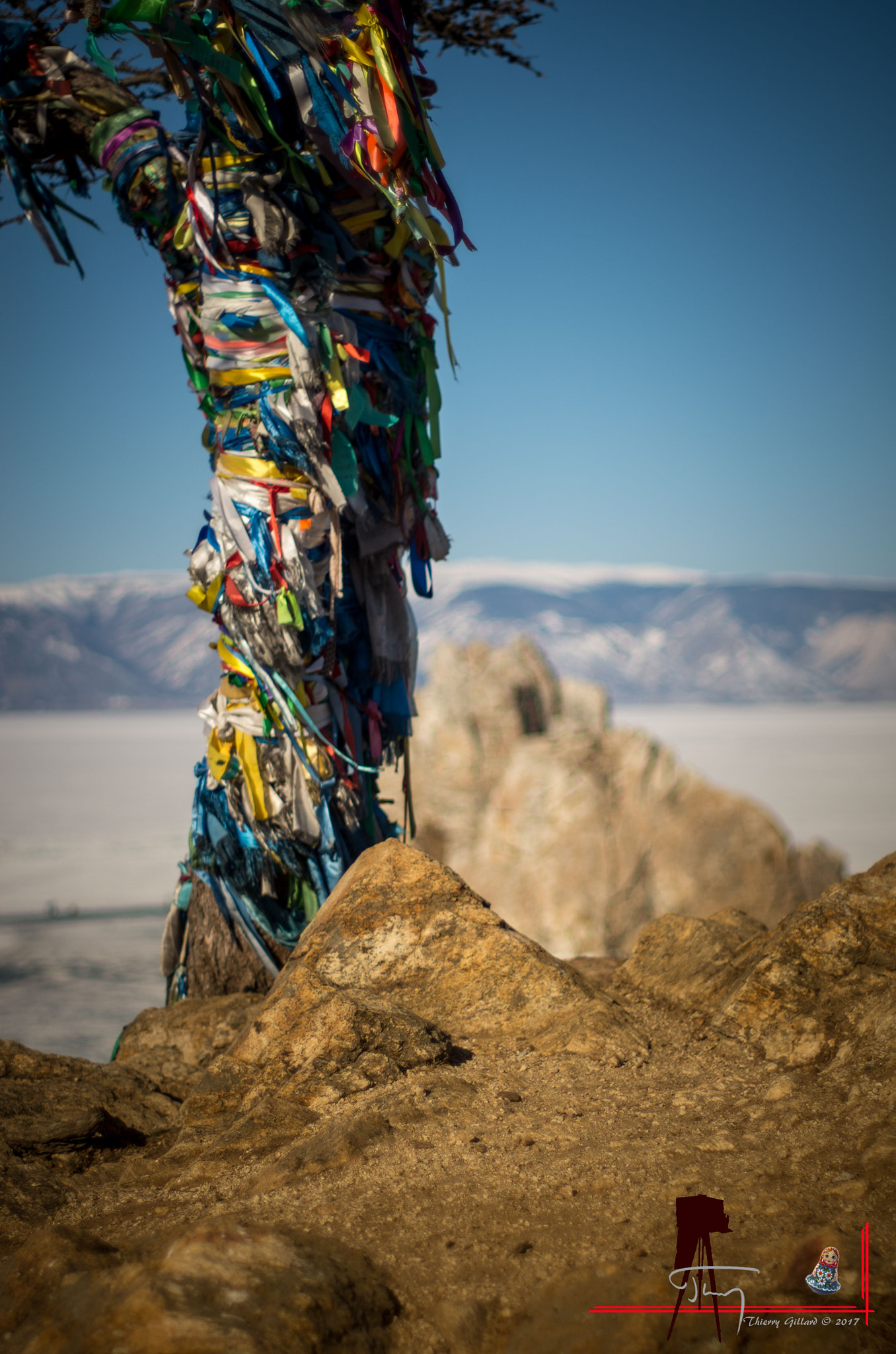 Pentax K-5 IIs sample photo. Votive tree in siberia. photography